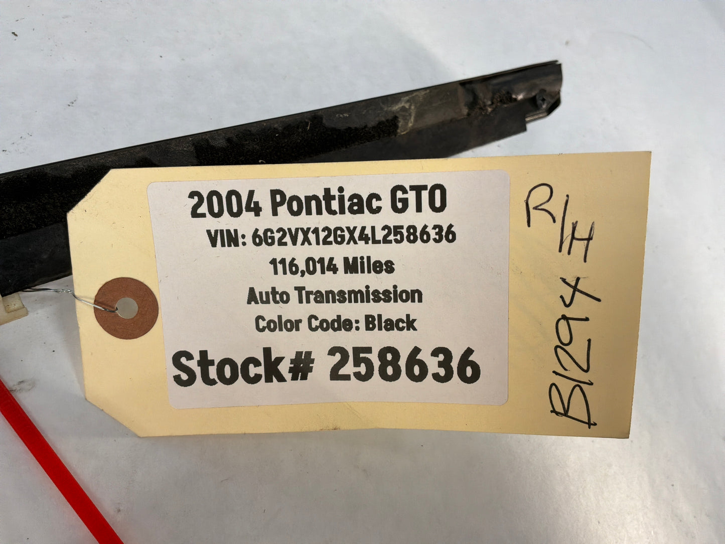 2004 Pontiac GTO RH Passenger Door Window Belt Molding Weather Strip Trim OEM