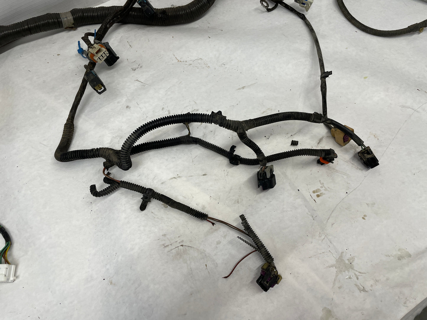 2005 Pontiac GTO Engine Motor Manual Transmission Wire Wiring Harness OEM - Day's Parts Yard