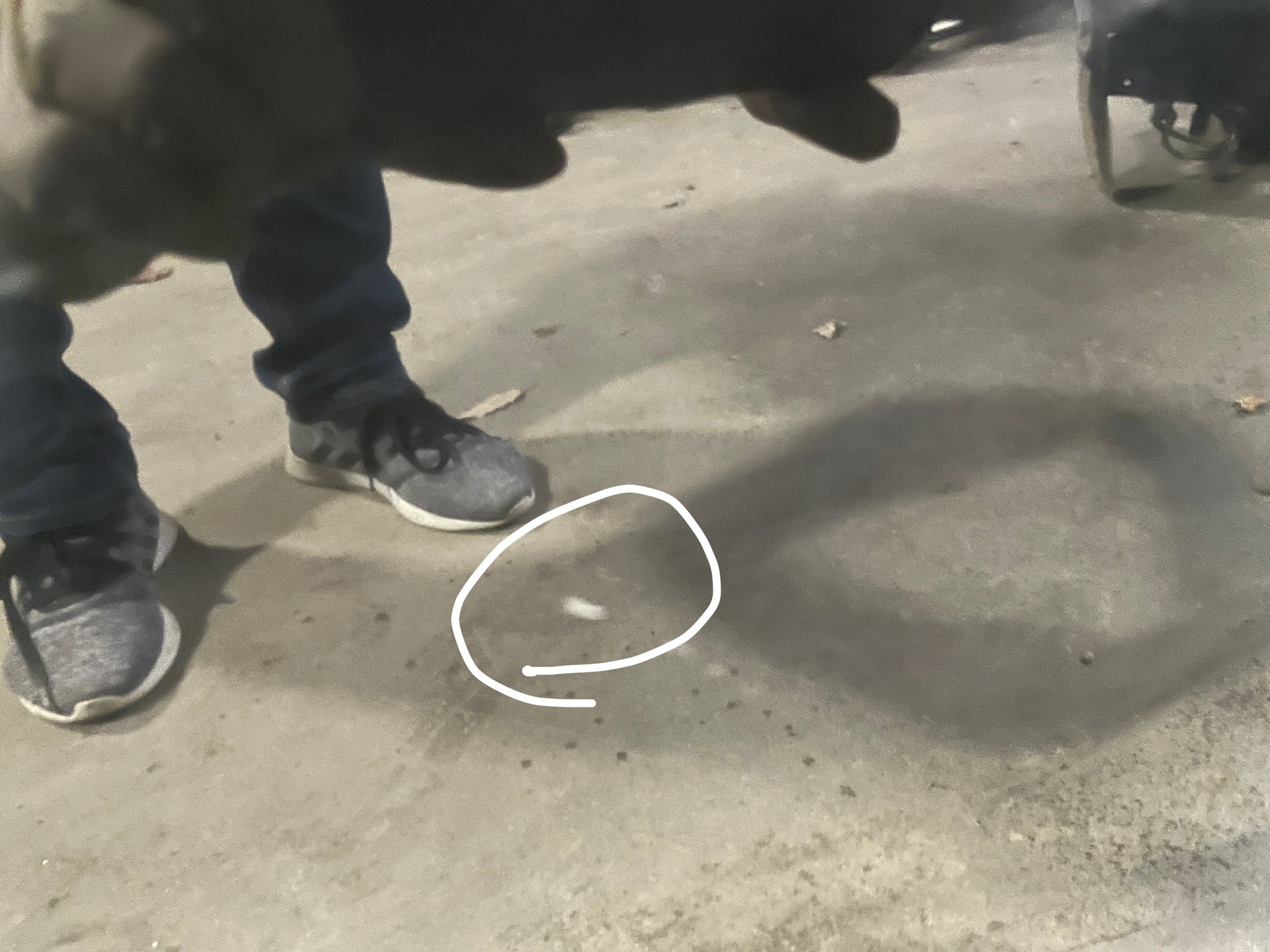 2015 Chevy SS Sedan Front RH Passenger Door OEM - Day's Parts Yard