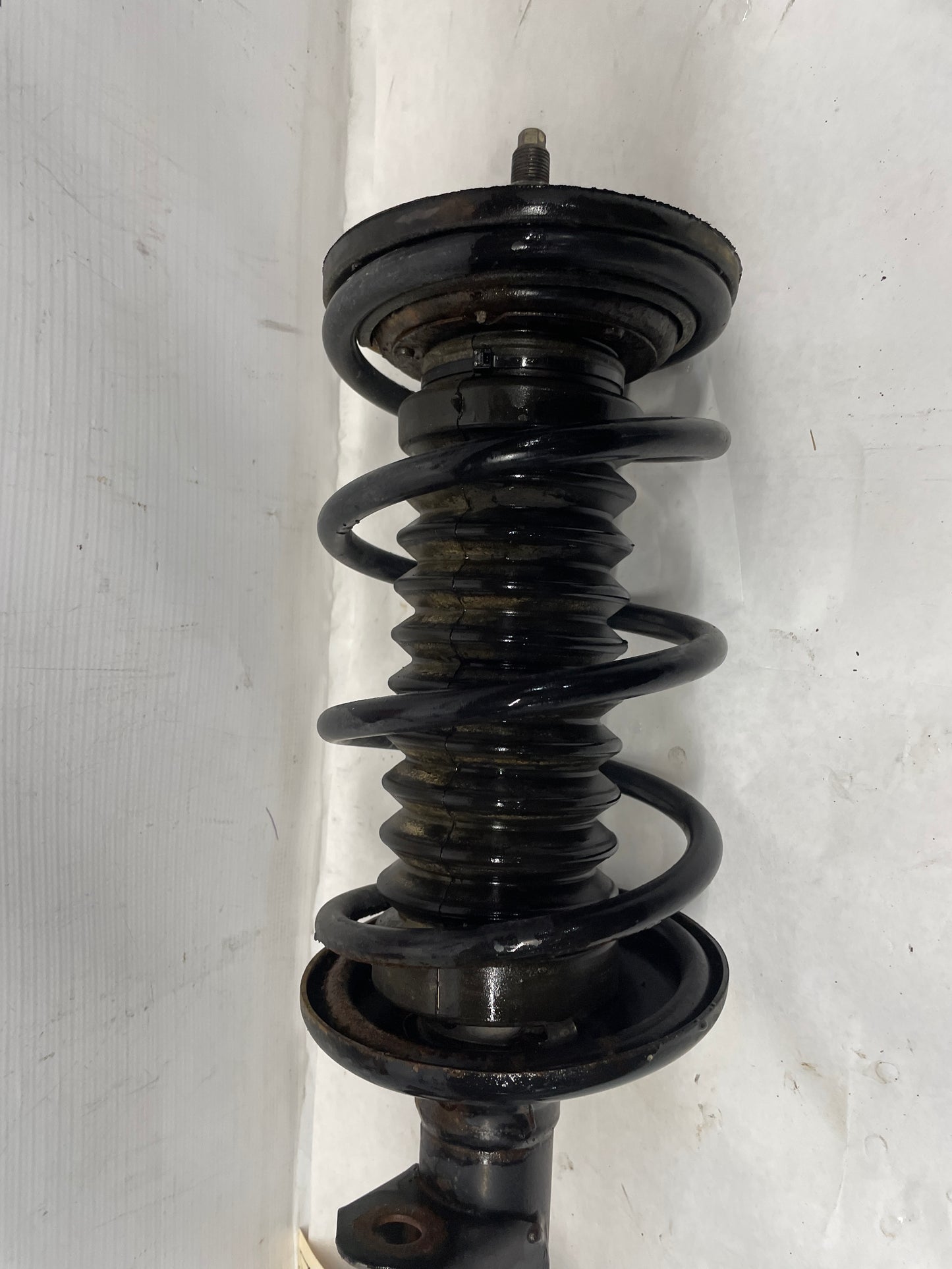 2005 Pontiac GTO LH Driver Front Strut Assembly OEM - Day's Parts Yard