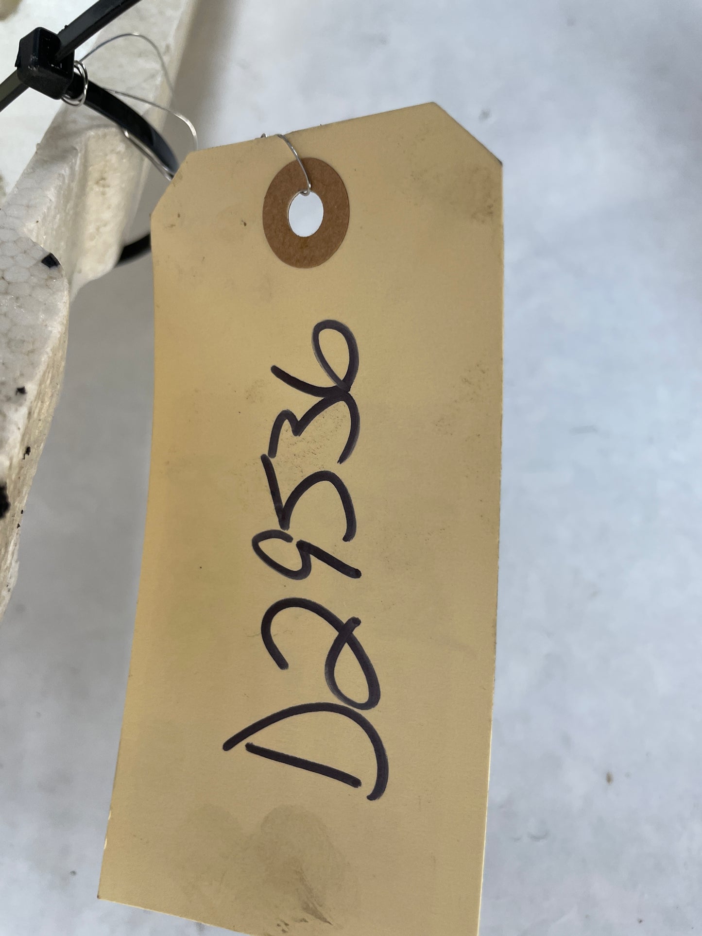 2005 Pontiac GTO Rear Bumper Impact Energy Absorber Foam OEM