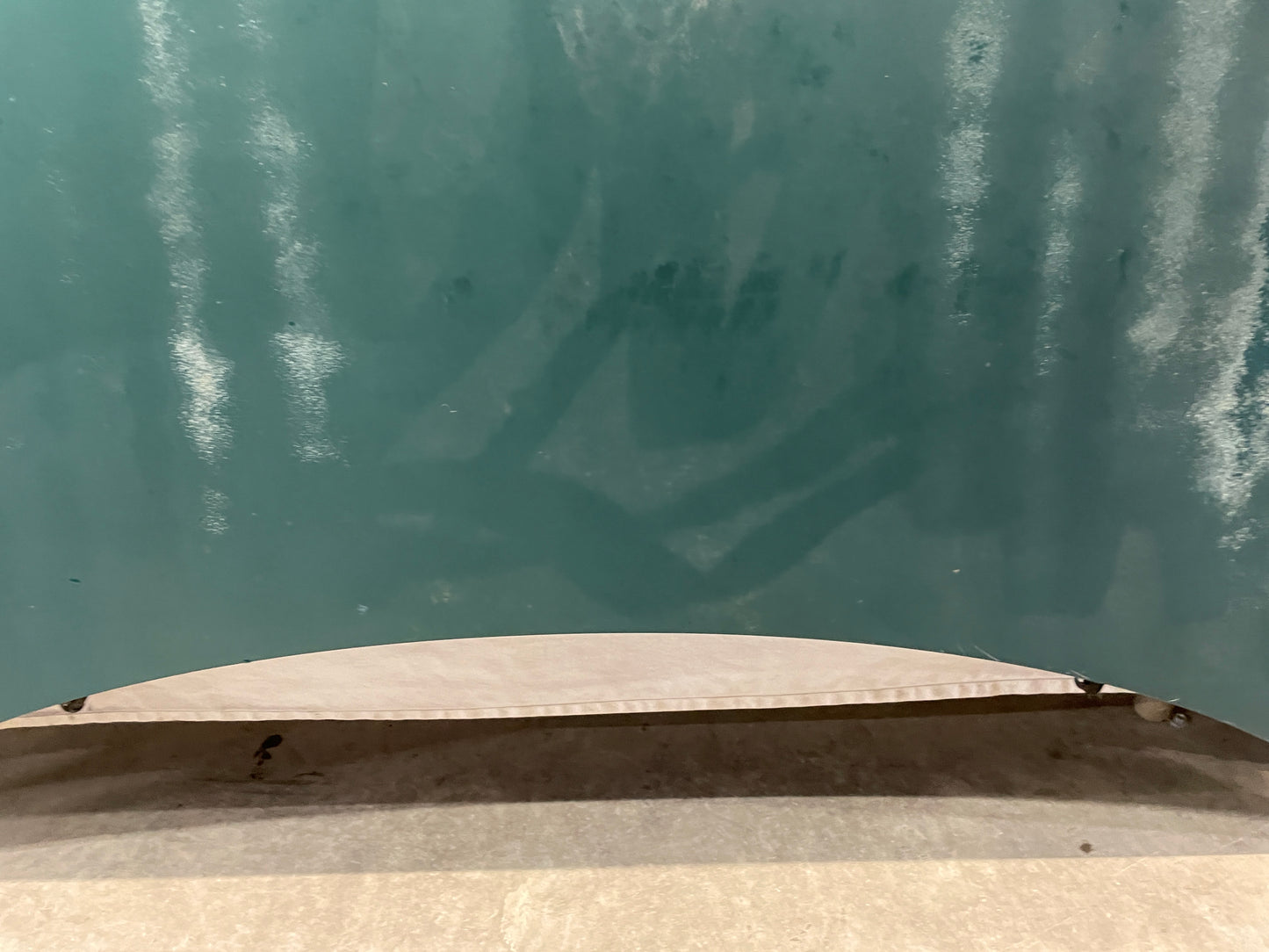 1998 Chevy Camaro Z28 Hood Assembly OEM LOCAL PICK UP - Day's Parts Yard
