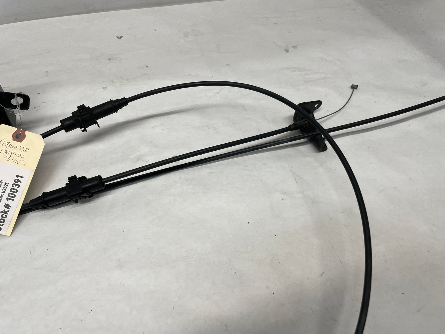 2000 Pontiac Firebird Formula Trans Am Cruise Control Module Actuator w/ Cable OEM - Day's Parts Yard