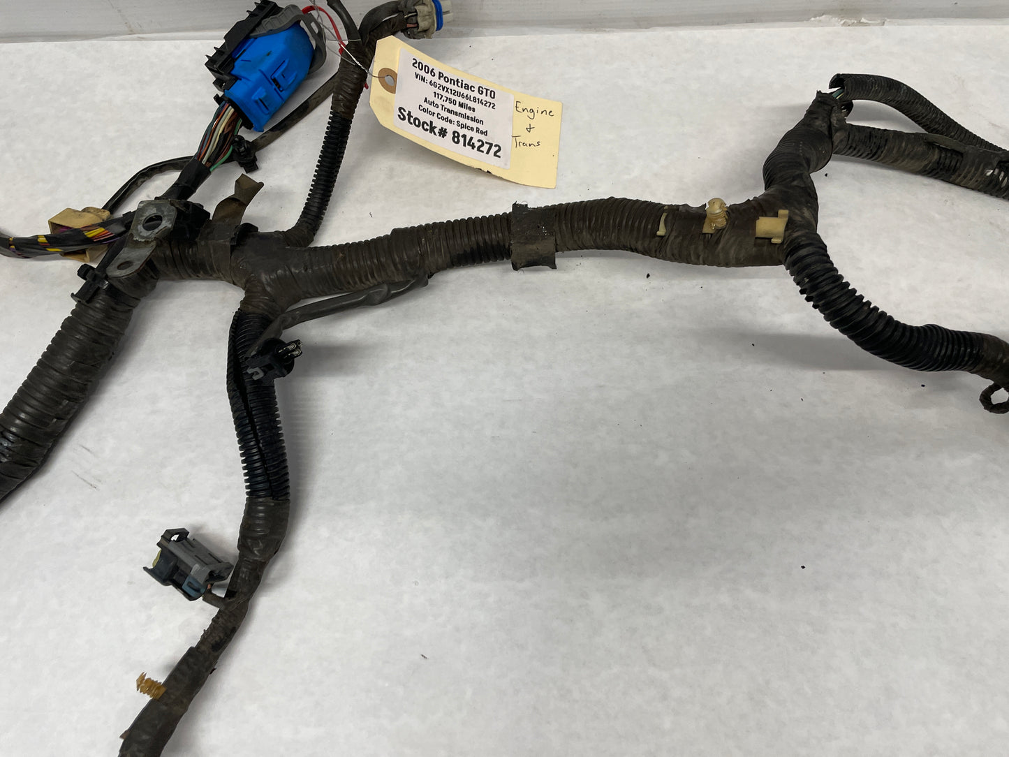 2006 Pontiac GTO Engine Motor Auto Transmission Wire Wiring Harness OEM - Day's Parts Yard
