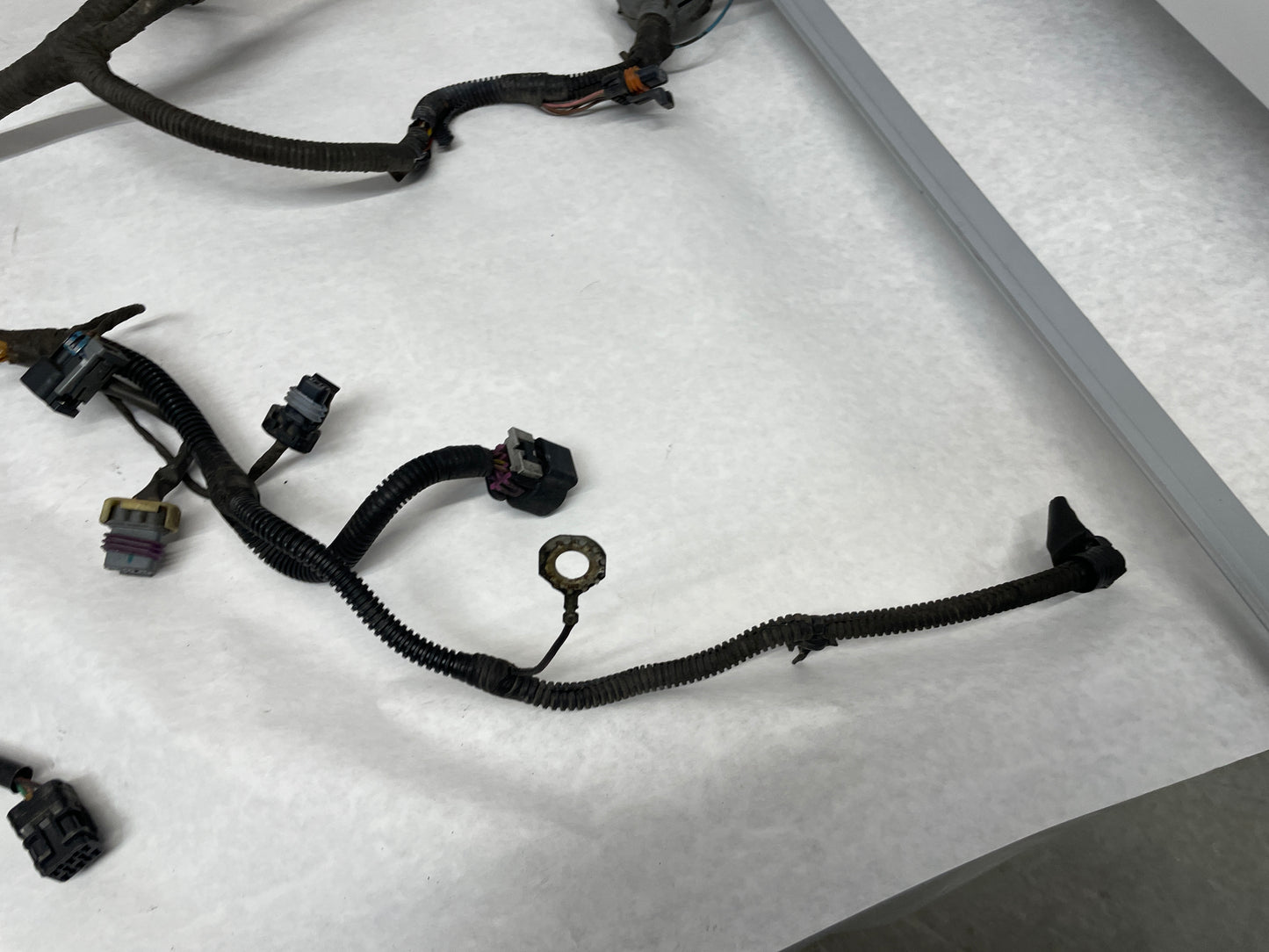 2006 Pontiac GTO Engine Motor Auto Transmission Wire Wiring Harness OEM - Day's Parts Yard