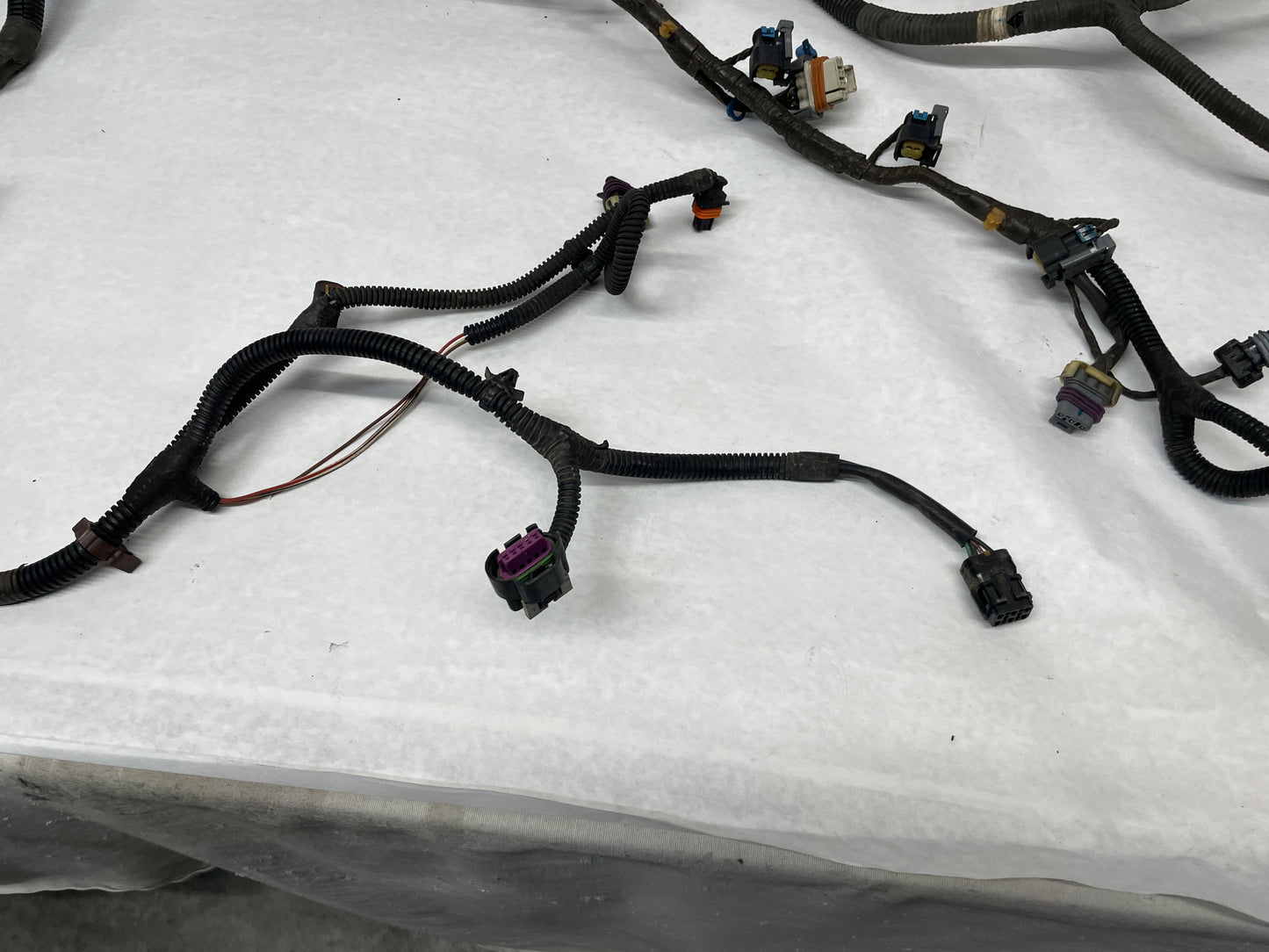 2006 Pontiac GTO Engine Motor Auto Transmission Wire Wiring Harness OEM - Day's Parts Yard