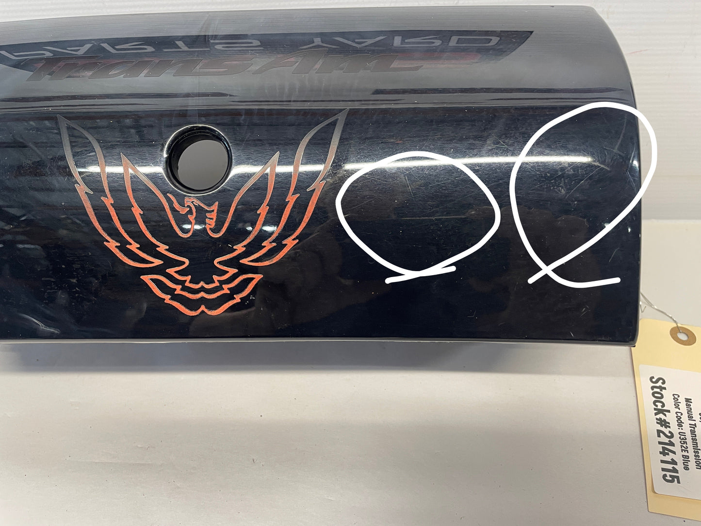1998 Pontiac Firebird Formula Trans Am Rear Taillight Finish Filler Panel OEM - Day's Parts Yard