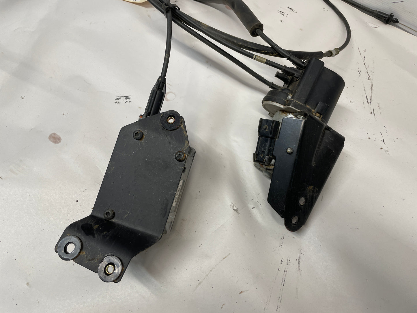 2004 Pontiac GTO Cruise Control Module Assembly - Day's Parts Yard