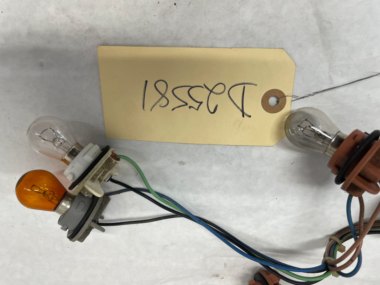 2005 Pontiac GTO RH & LH Taillight Tail Light Wire Wiring Harness Sockets OEM - Day's Parts Yard
