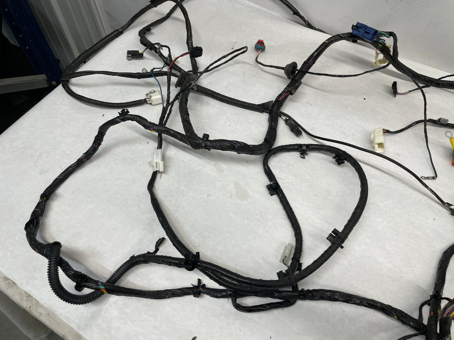 2005 Pontiac GTO Body Wire Wiring Harness OEM - Day's Parts Yard
