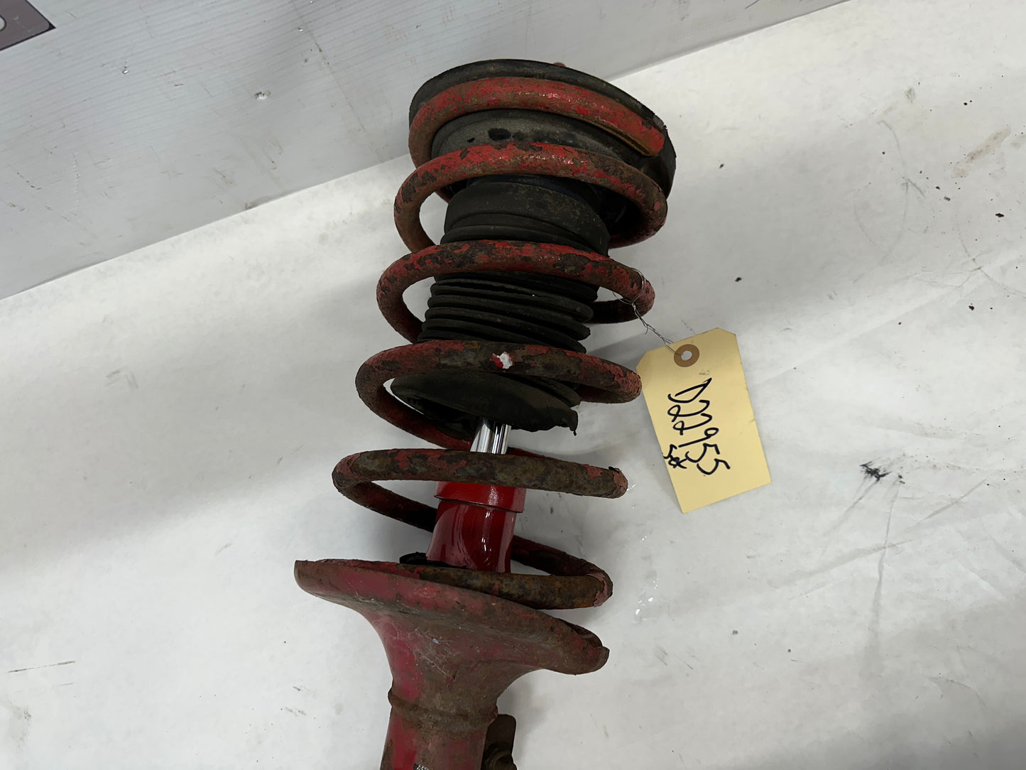 2006 Pontiac GTO Pedders Suspension Front Struts - Day's Parts Yard