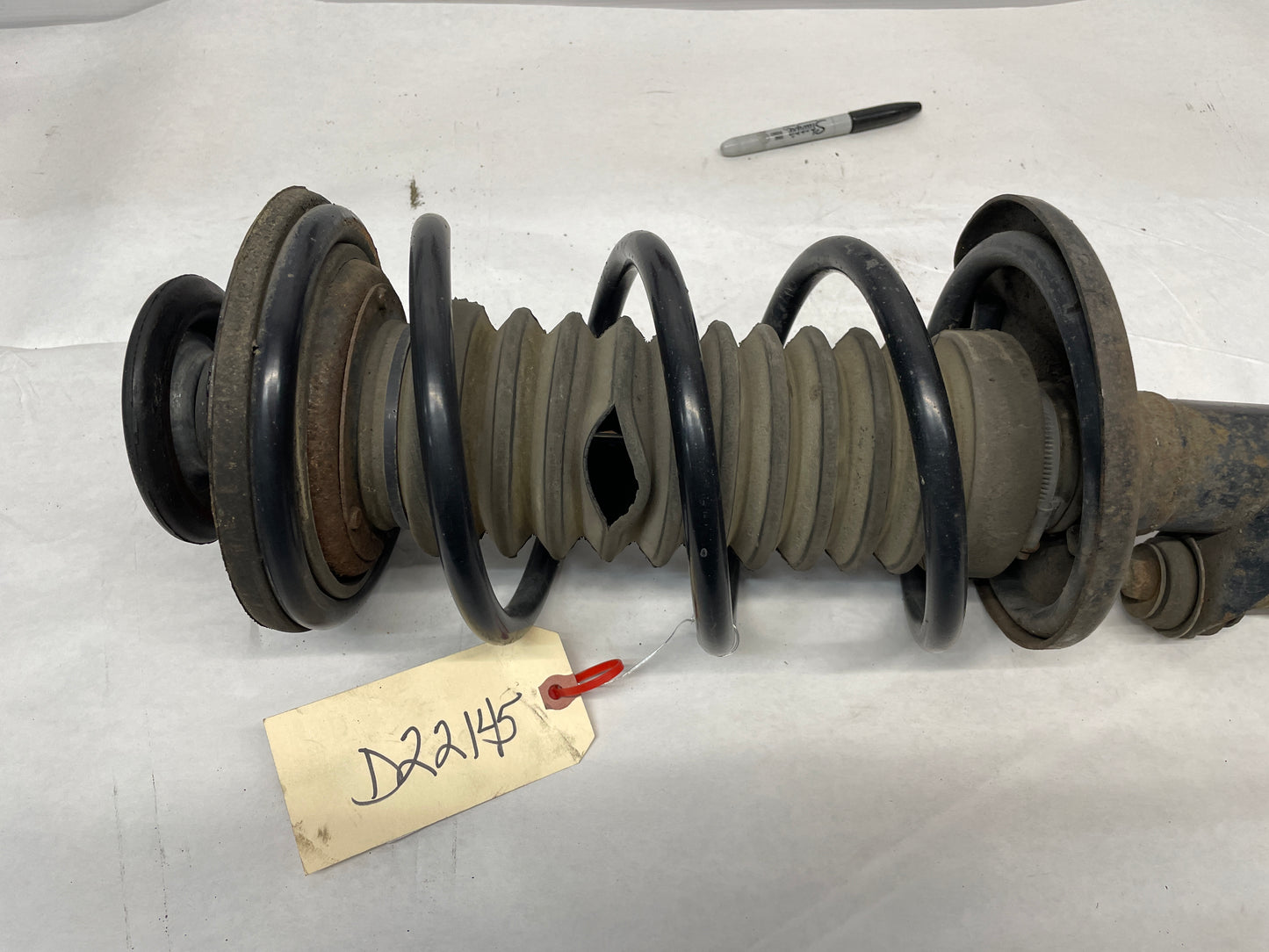 2005 Pontiac GTO RH Passenger Front Strut Assembly OEM - Day's Parts Yard