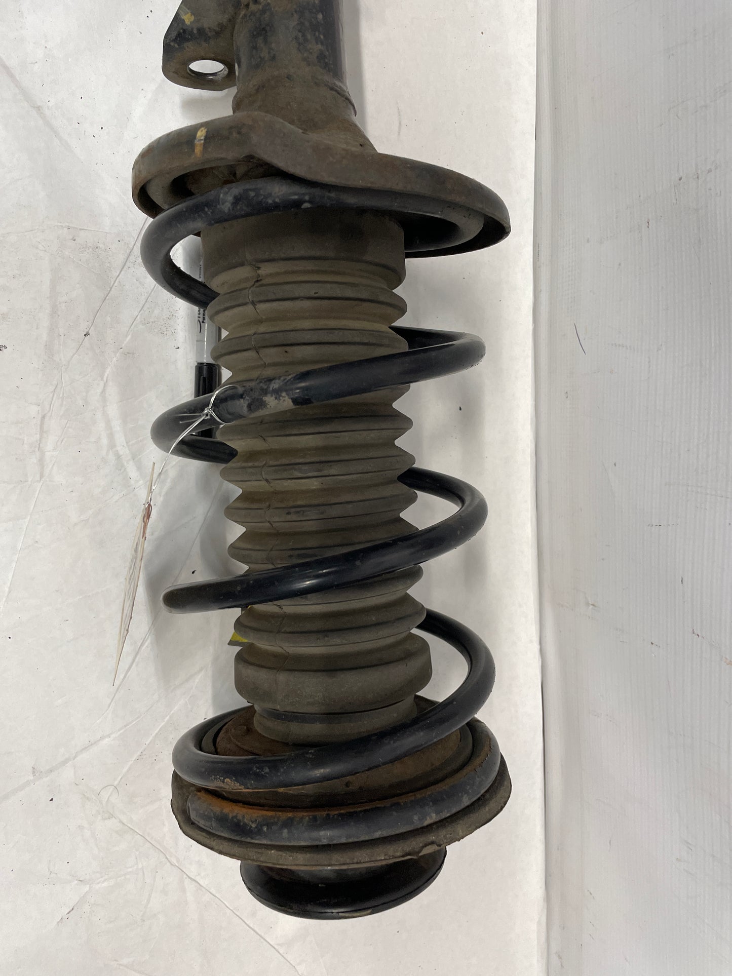 2005 Pontiac GTO LH Driver Front Strut Assembly OEM - Day's Parts Yard