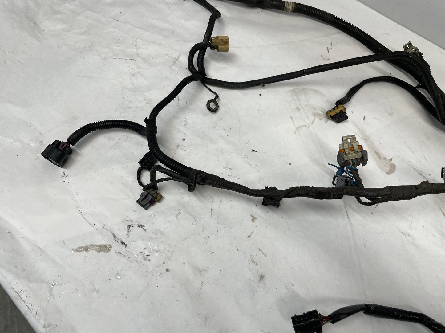 2005 Pontiac GTO Engine Motor Manual Transmission Wire Wiring Harness OEM - Day's Parts Yard