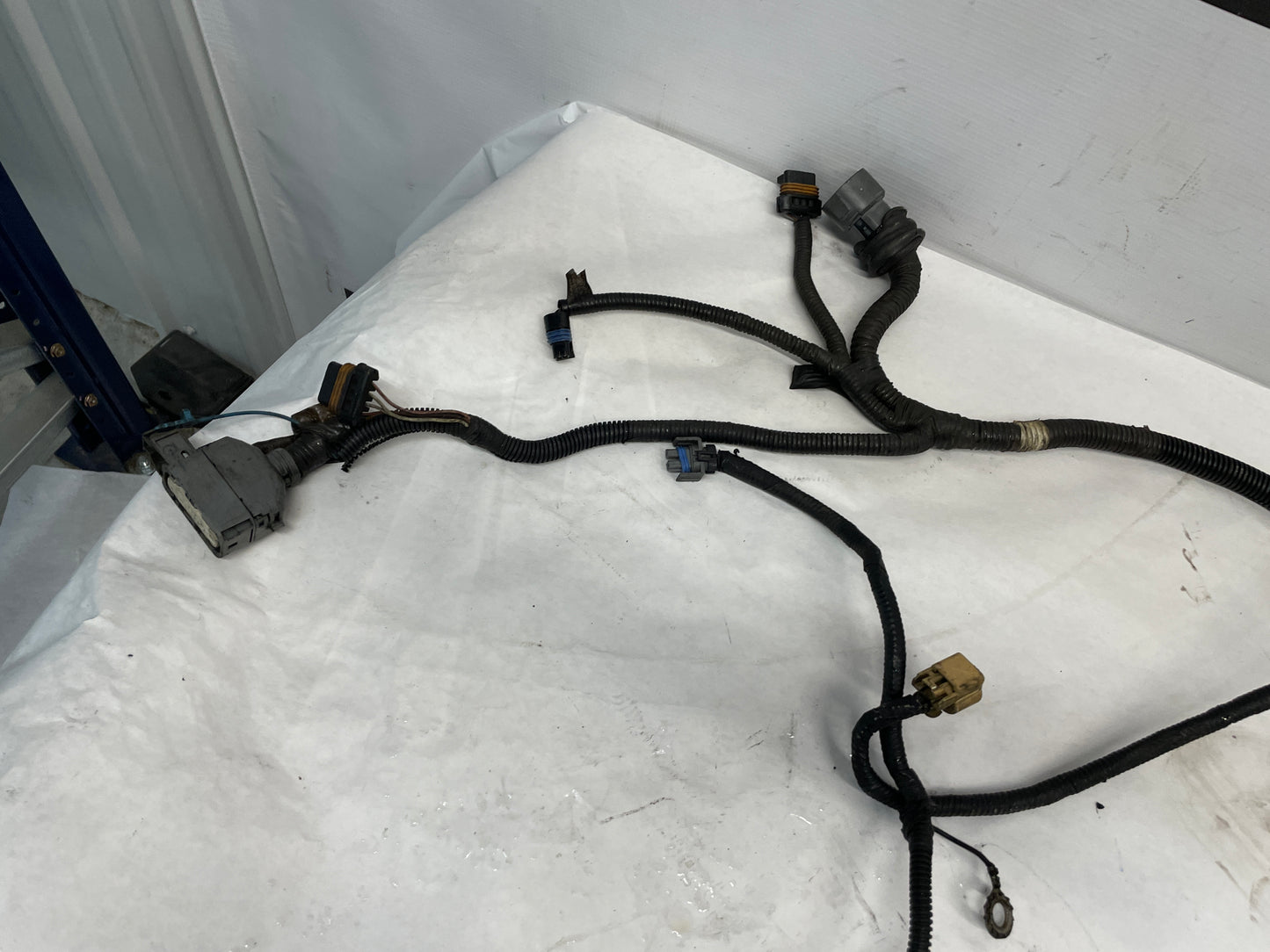 2005 Pontiac GTO Engine Motor Manual Transmission Wire Wiring Harness OEM - Day's Parts Yard