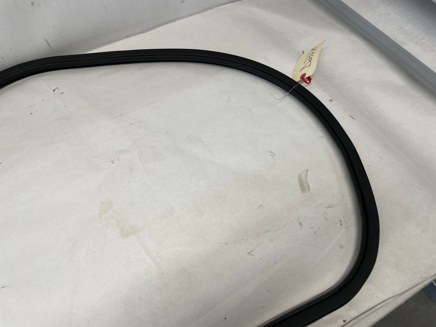 2005 Pontiac GTO RH Passenger Door Rubber Weather Strip Seal OEM - Day's Parts Yard