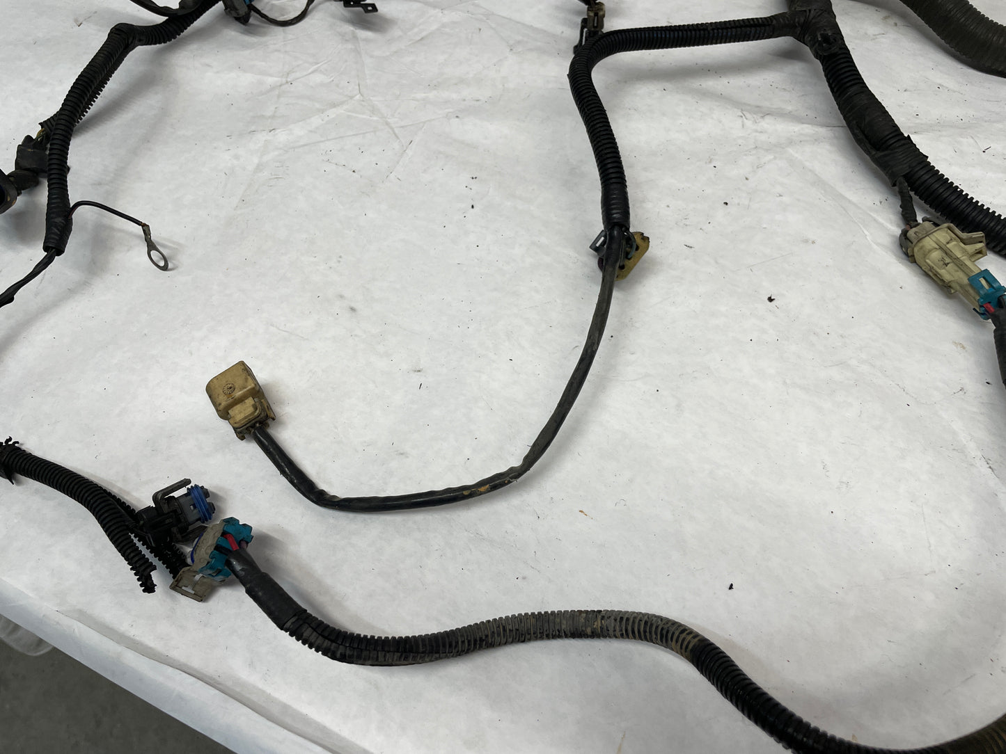 2006 Pontiac GTO Engine Motor Auto Transmission Wire Wiring Harness OEM - Day's Parts Yard