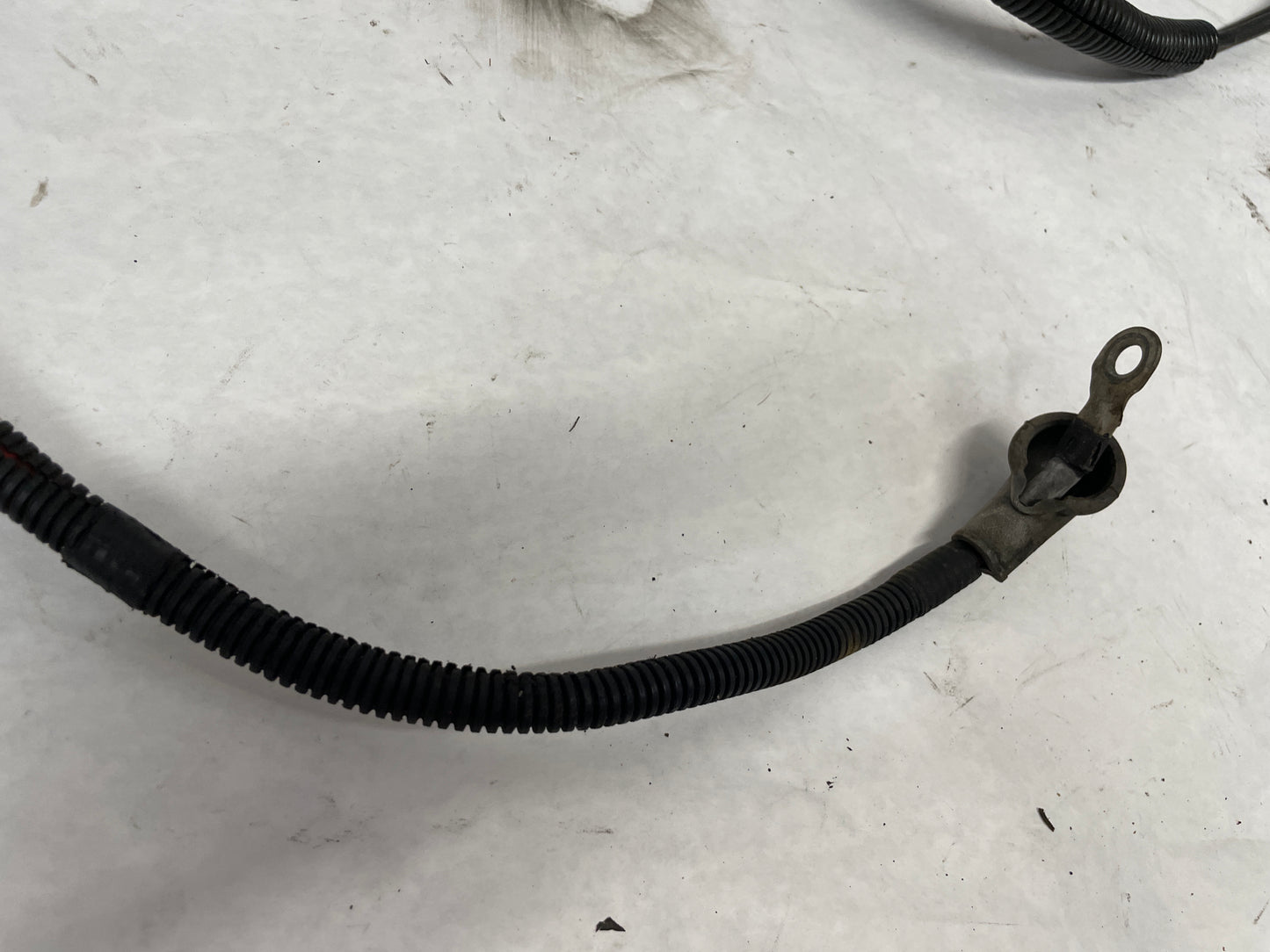 2006 Pontiac GTO Wire Wiring Harness OEM - Day's Parts Yard