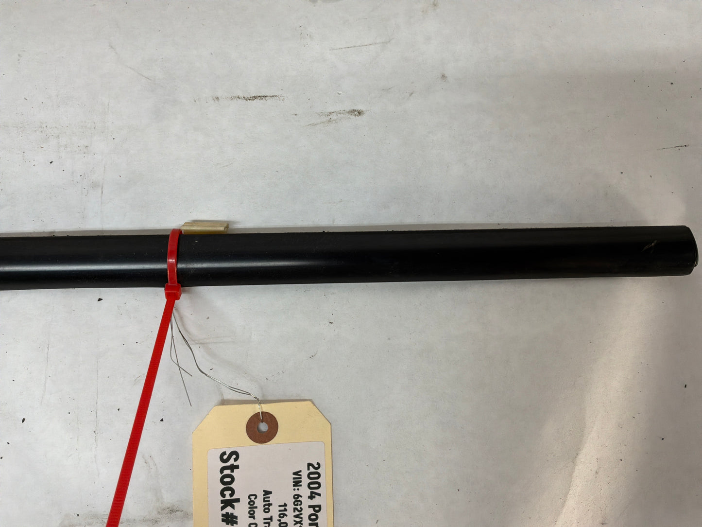 2004 Pontiac GTO RH Passenger Door Window Belt Molding Weather Strip Trim OEM