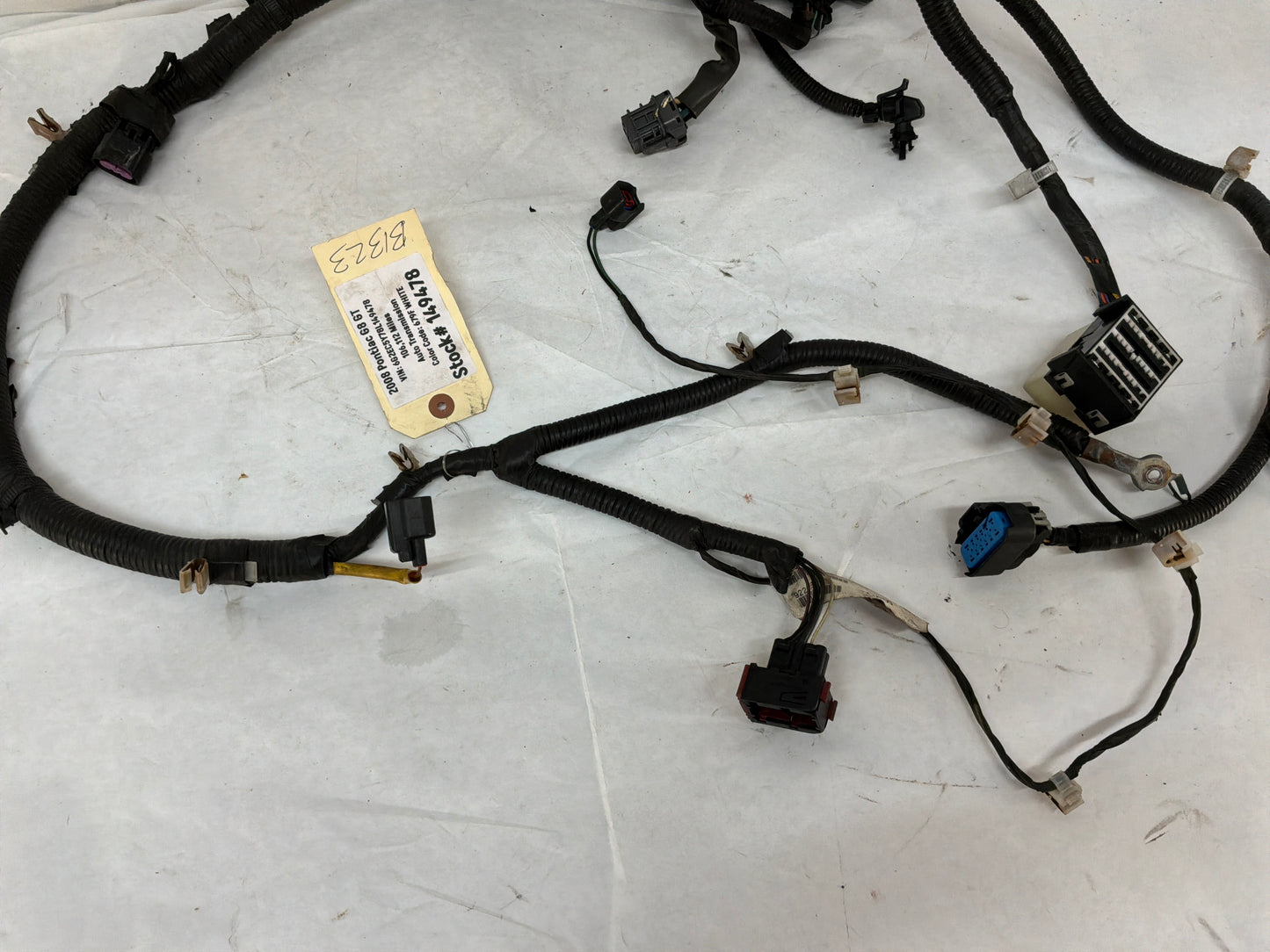 2009 Pontiac G8 Radiator Core Support Head Light Lamp Wiring Wire Harness OEM
