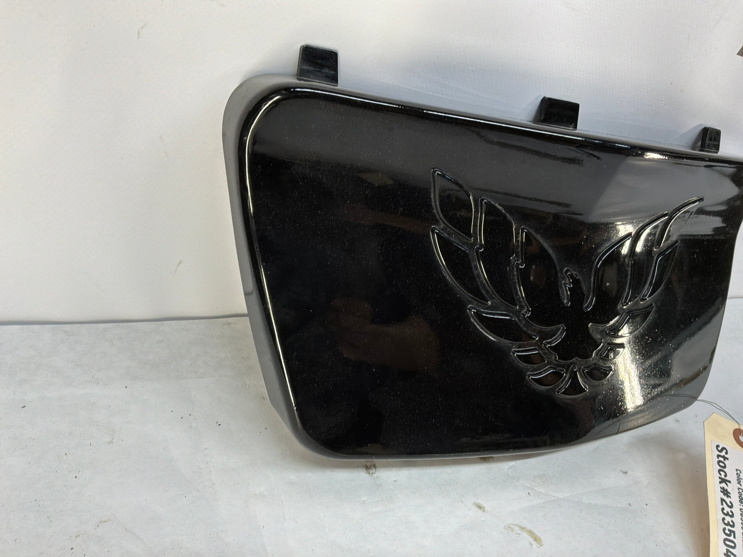 1999 Pontiac Firebird Trans Am Formula WS6 Front License Plate Cover Filler Panel OEM
