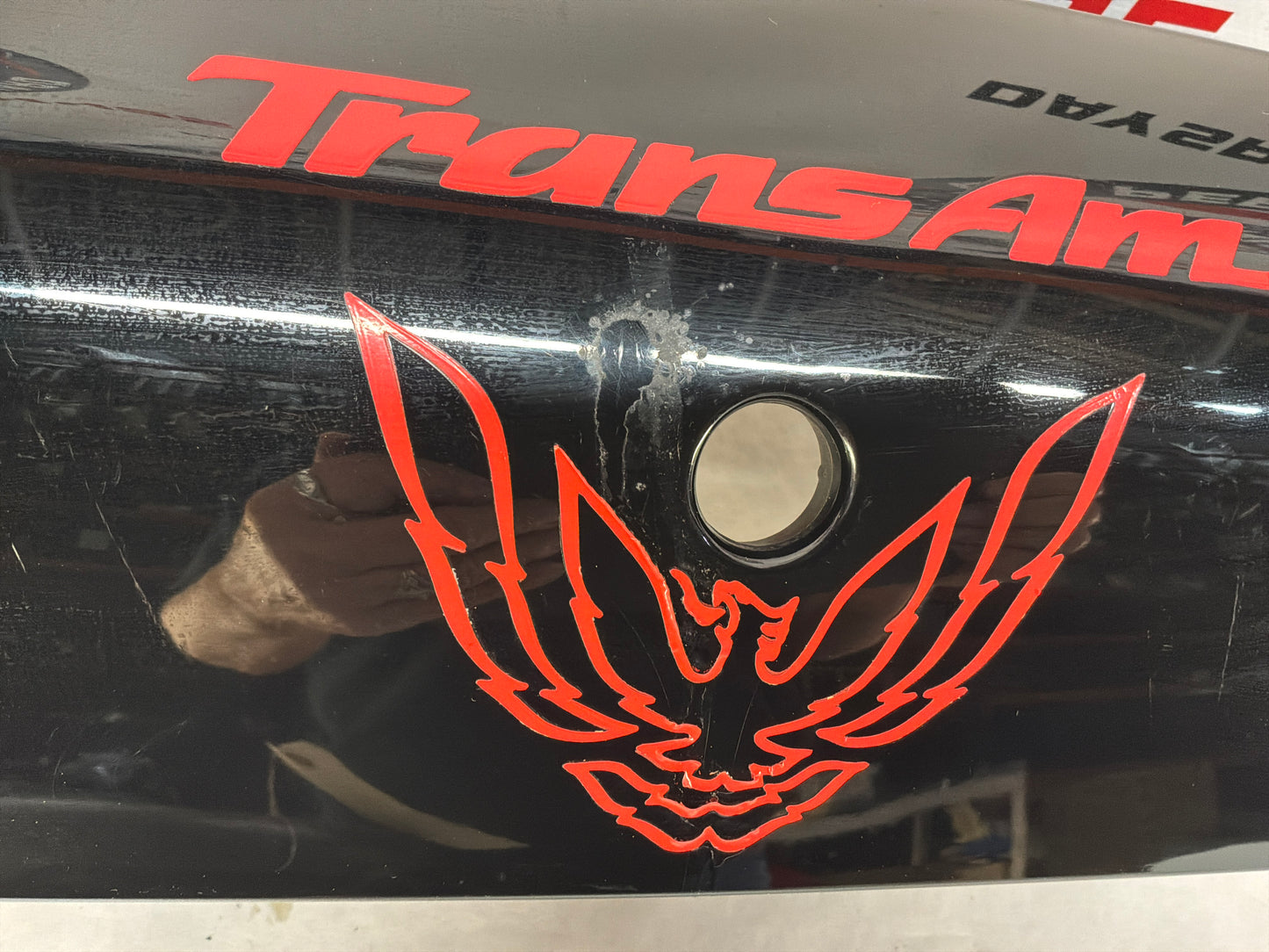 Center Tail Light Filler Panel OEM