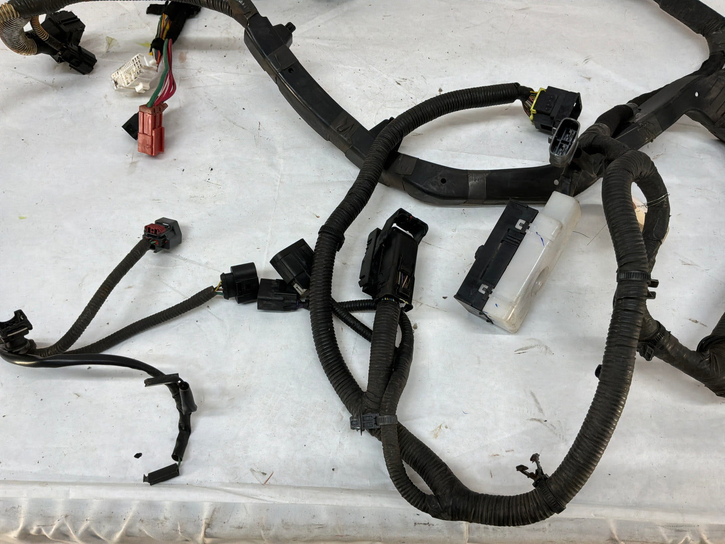 2009 Pontiac G8 GT Engine Motor Bay Firewall Wire Wiring Harness OEM