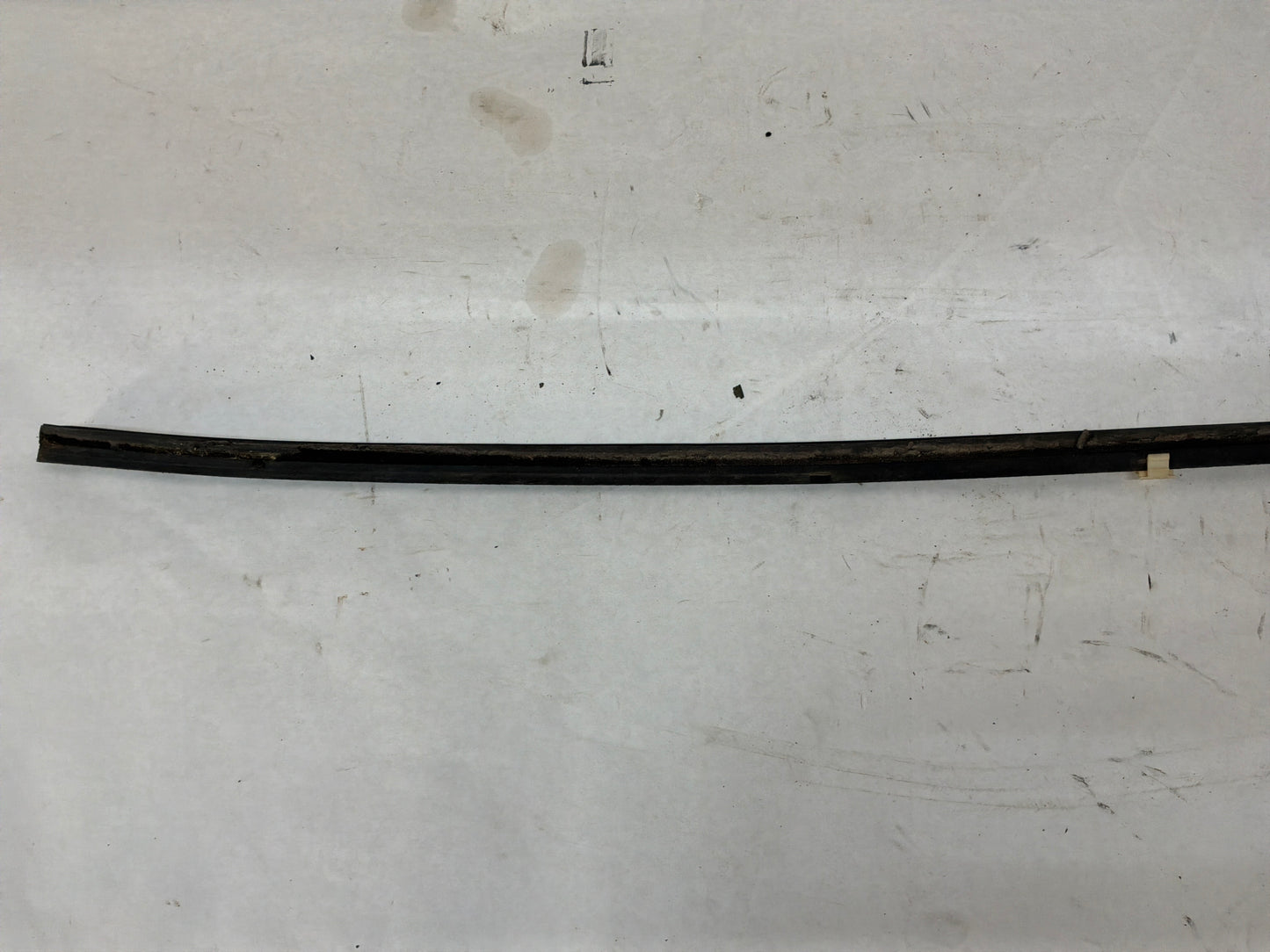 2004 Pontiac GTO RH Passenger Door Window Belt Molding Weather Strip Trim OEM