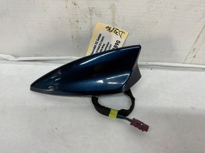 Shark - Day's Parts Yard