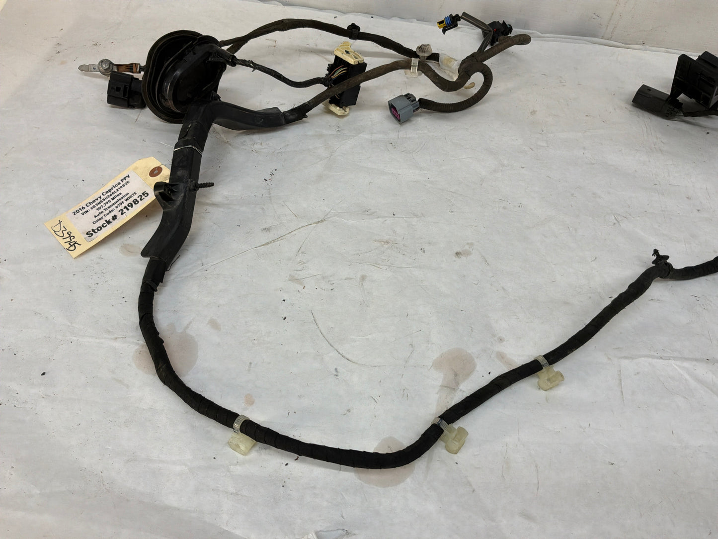 2016 Chevy Caprice PPV Fire Wall Engine Bay Front Chassis Wire Wiring Harness OEM