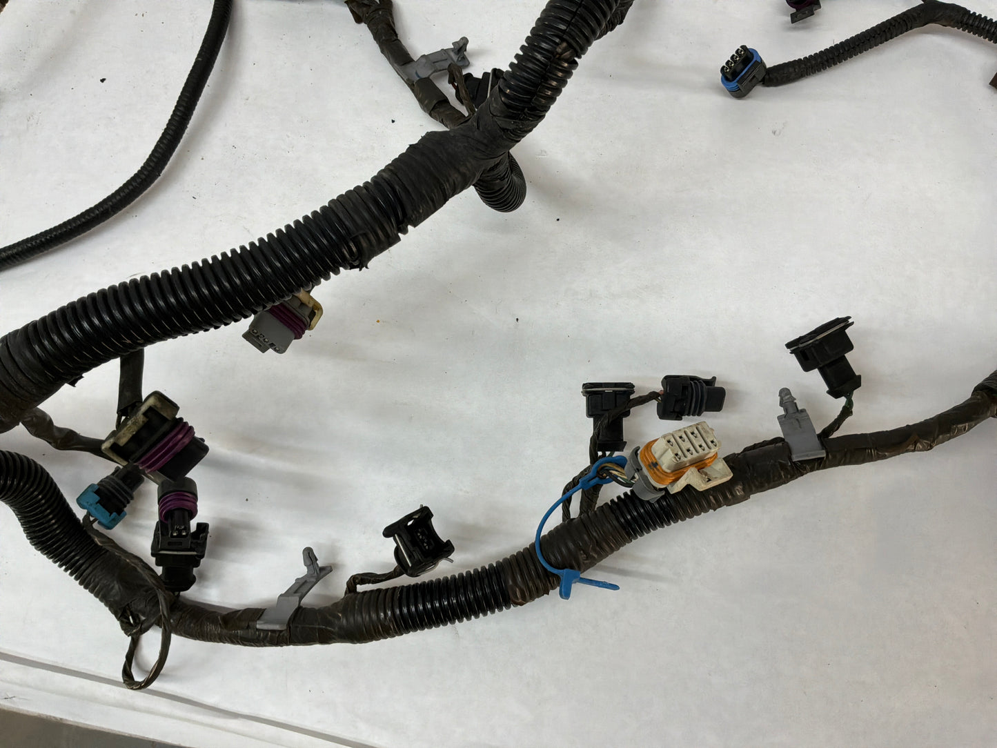2004 Pontiac GTO Engine Motor Manual Transmission Wire Wiring Harness OEM