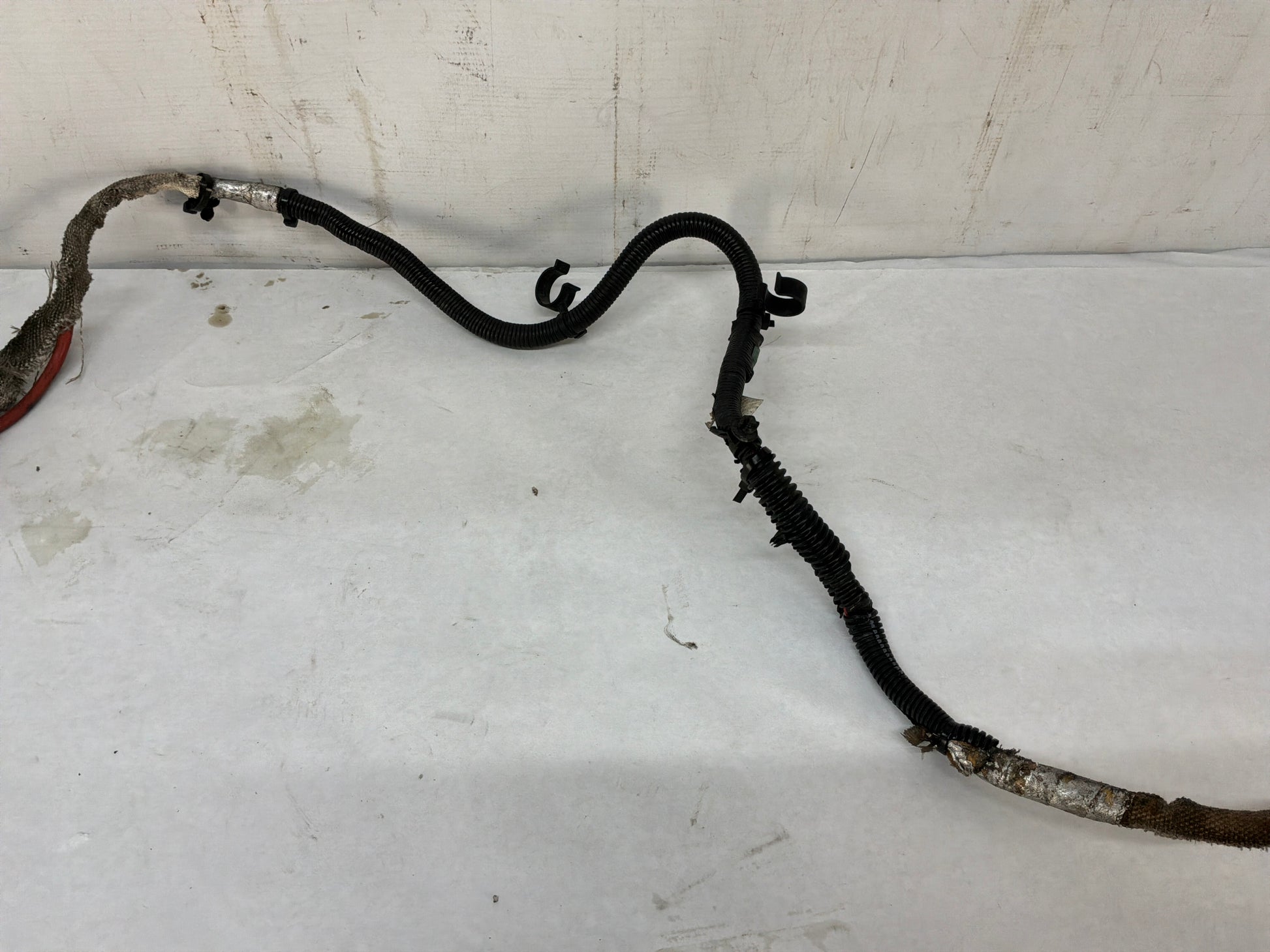 Alternator Harness - Day's Parts Yard
