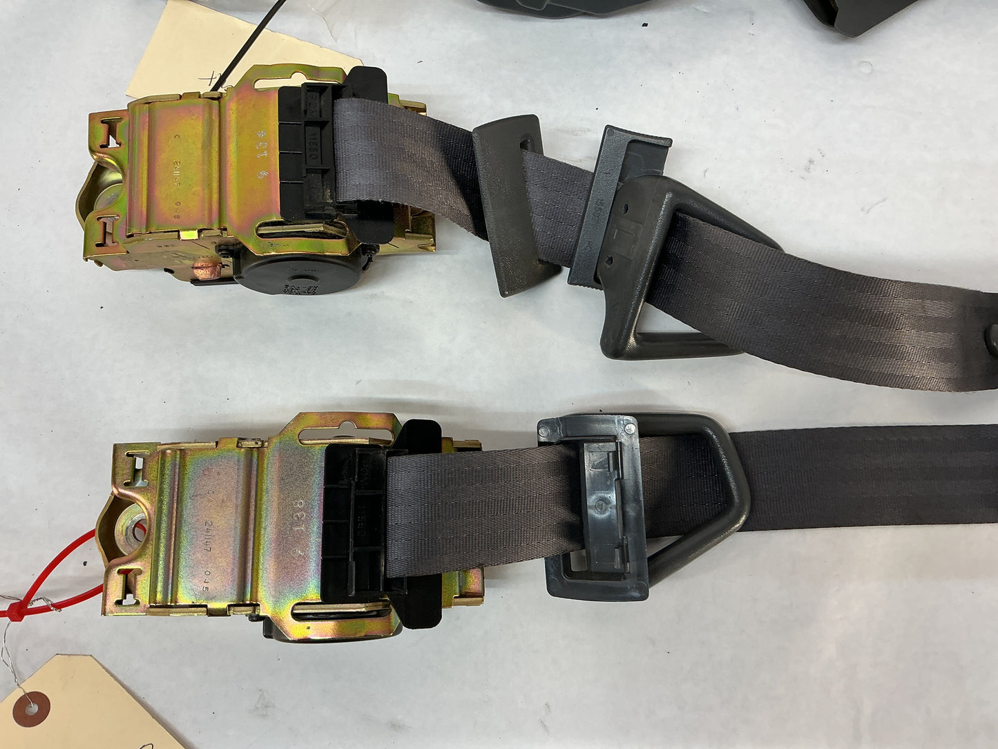 1999 Pontiac Firebird Trans Am Formula WS6 Front & Rear Seat Belt Seatbelt Buckle Retractors OEM