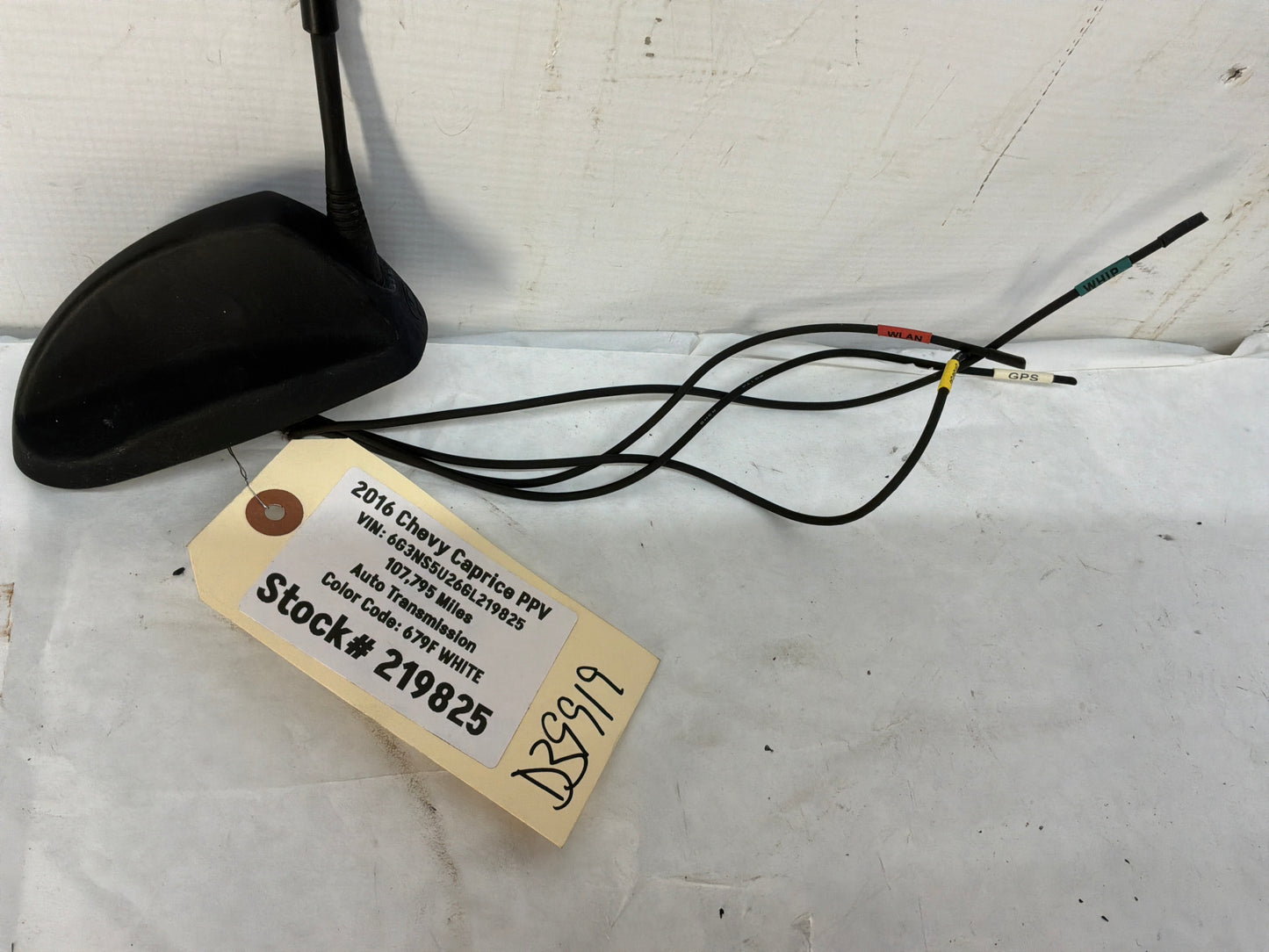 2016 Chevy Caprice PPV Shark Fin Radio Stereo Antenna OEM