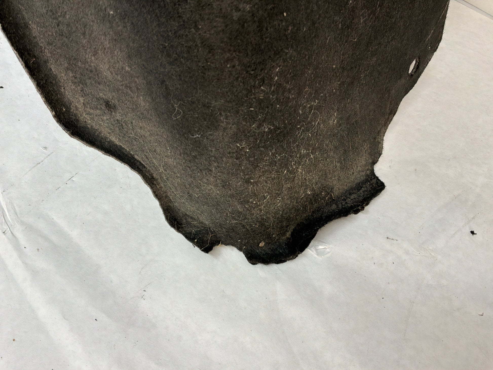 Rear lh wheel liner - Day's Parts Yard