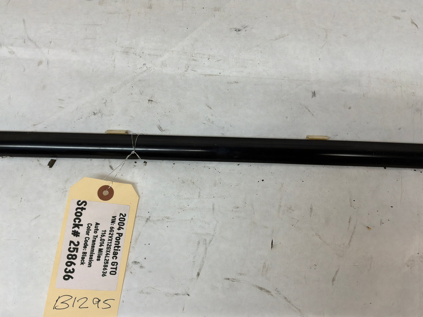 2004 Pontiac GTO LH Driver Window Door Belt Molding Weather Strip Trim OEM