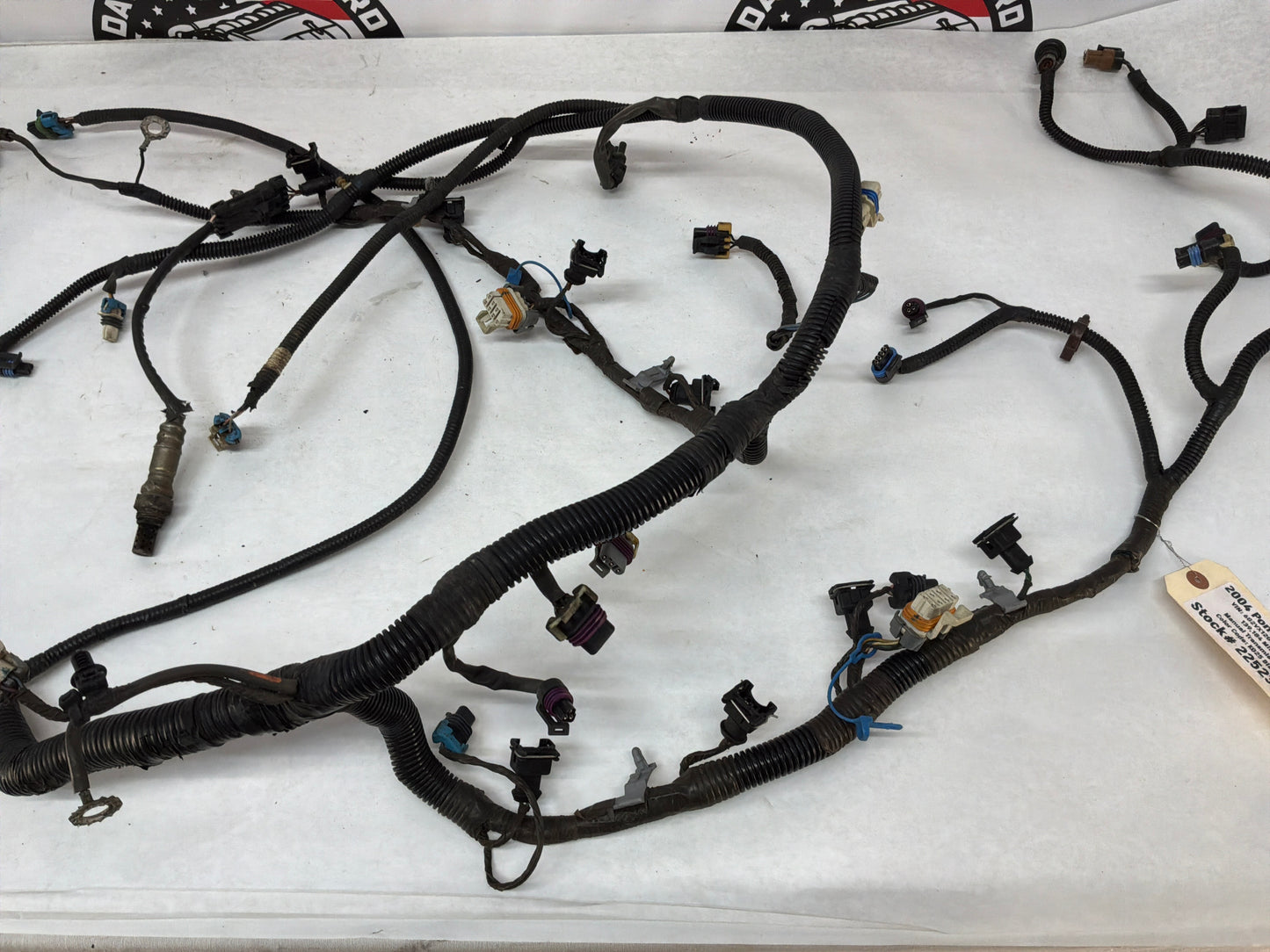 2004 Pontiac GTO Engine Motor Manual Transmission Wire Wiring Harness OEM