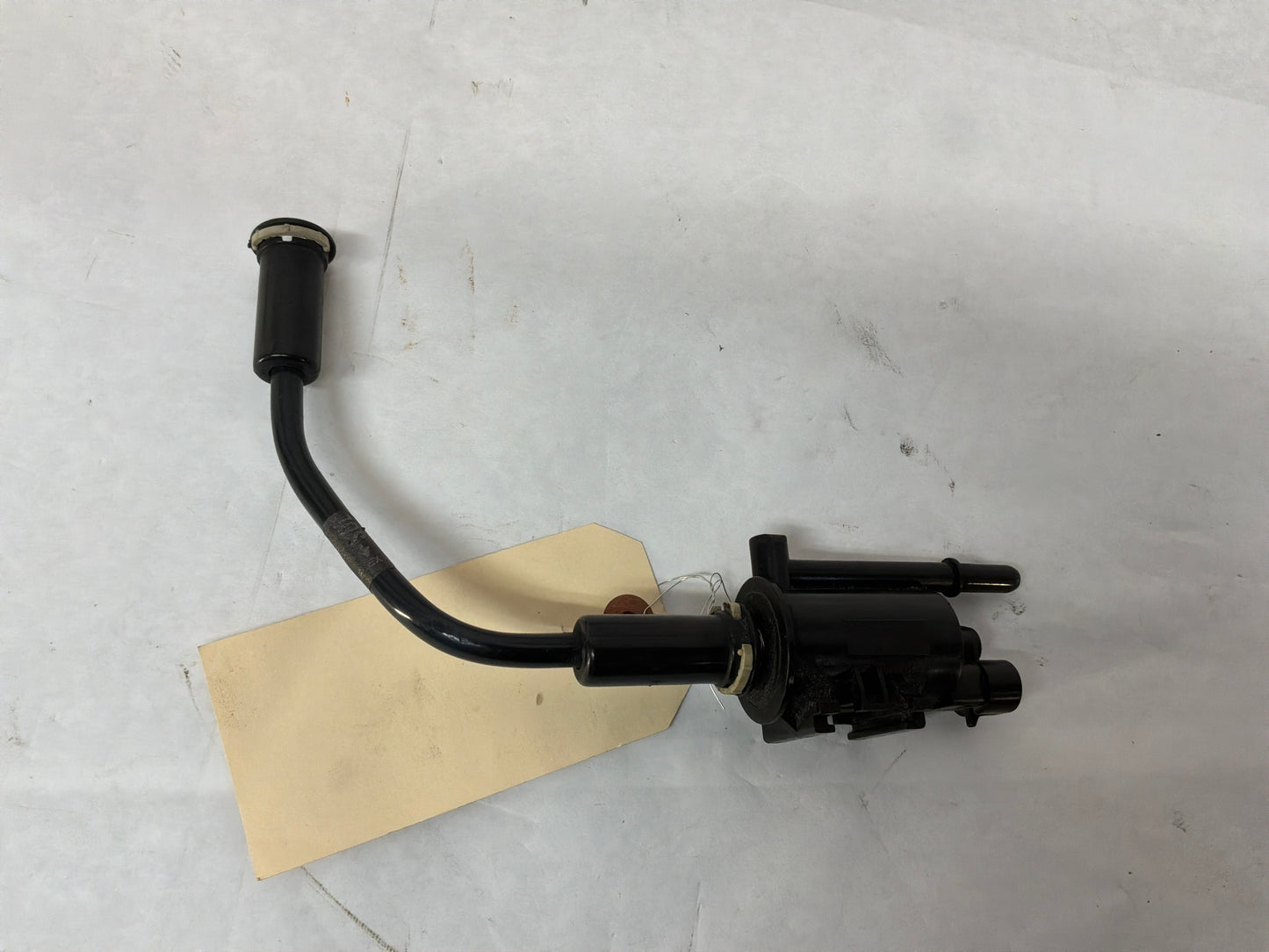 1999 Pontiac Trans Am WS5 Evap Purge Solenoid Valve Hose Tube  OEM