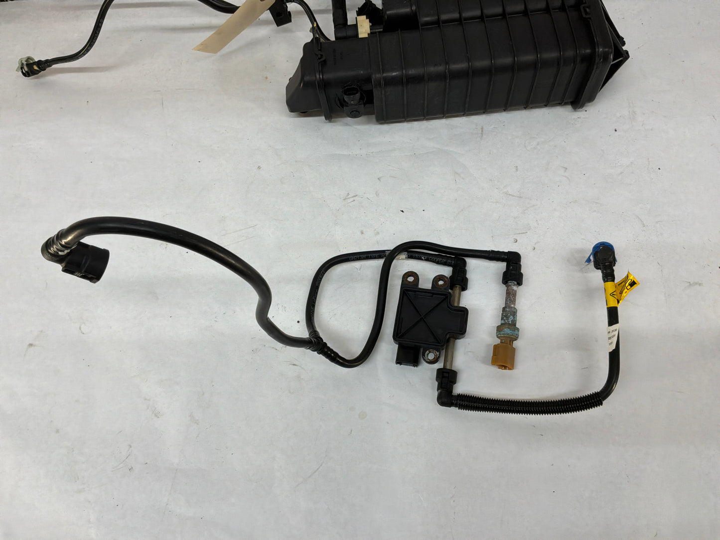 2011 Chevy Caprice PPV Caprice Charcoal Vapor Canister w/Fuel Lines & Wire Harness OEM