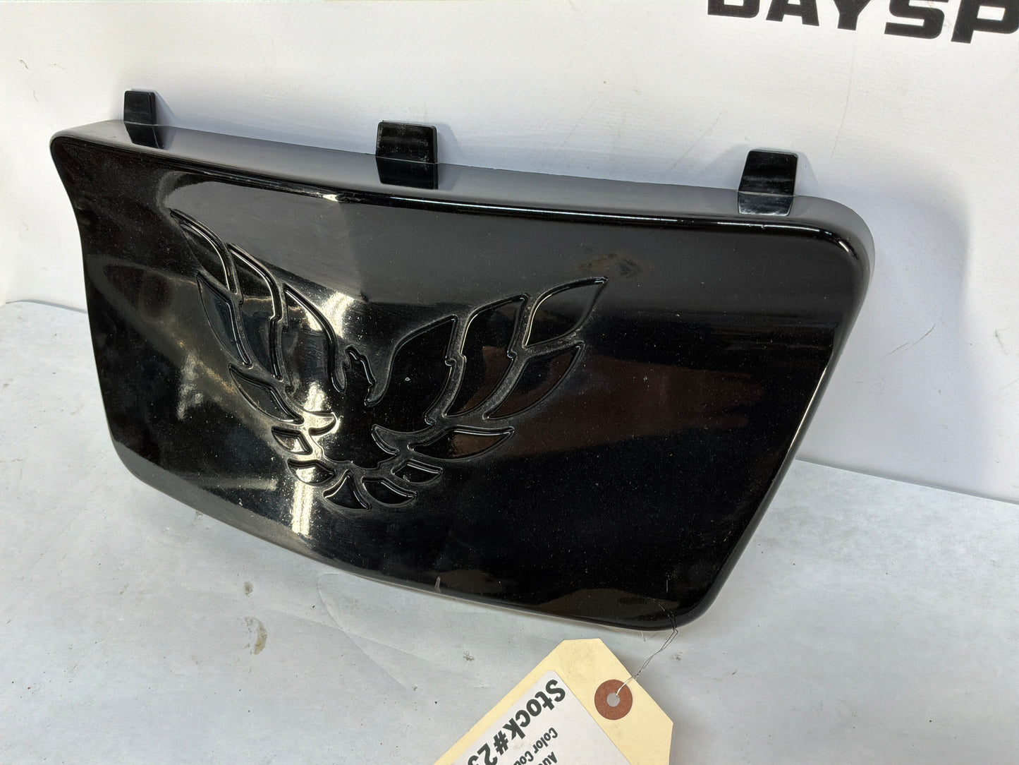 1999 Pontiac Firebird Trans Am Formula WS6 Front License Plate Cover Filler Panel OEM