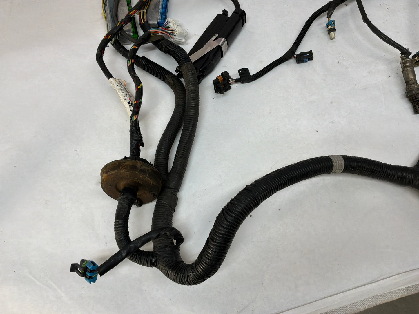 2004 Pontiac GTO Engine Motor Manual Transmission Wire Wiring Harness OEM