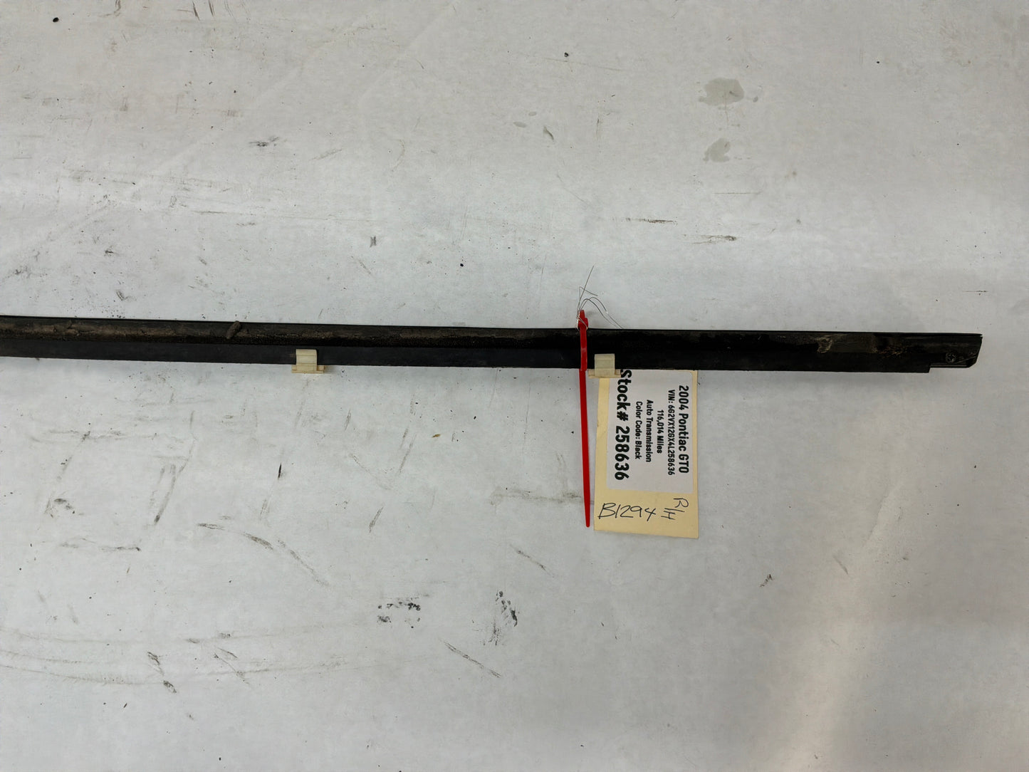 2004 Pontiac GTO RH Passenger Door Window Belt Molding Weather Strip Trim OEM