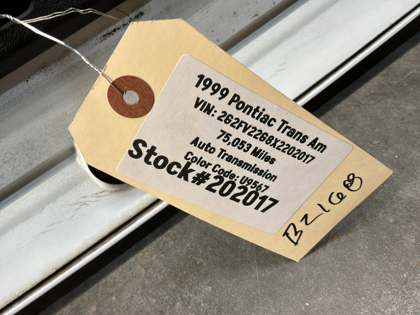1999 Pontiac Trans Am WS6 Rear Glass Hatch OEM