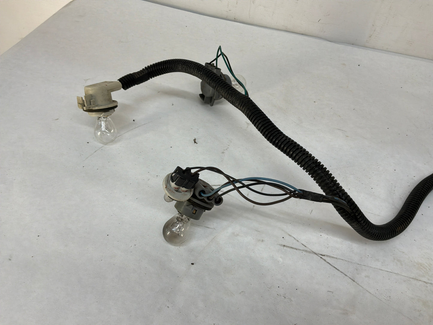 Taillight harness - Day's Parts Yard