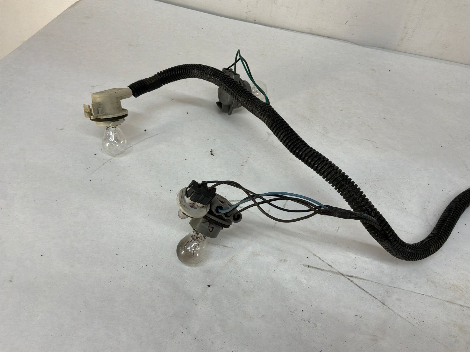 Taillight harness - Day's Parts Yard
