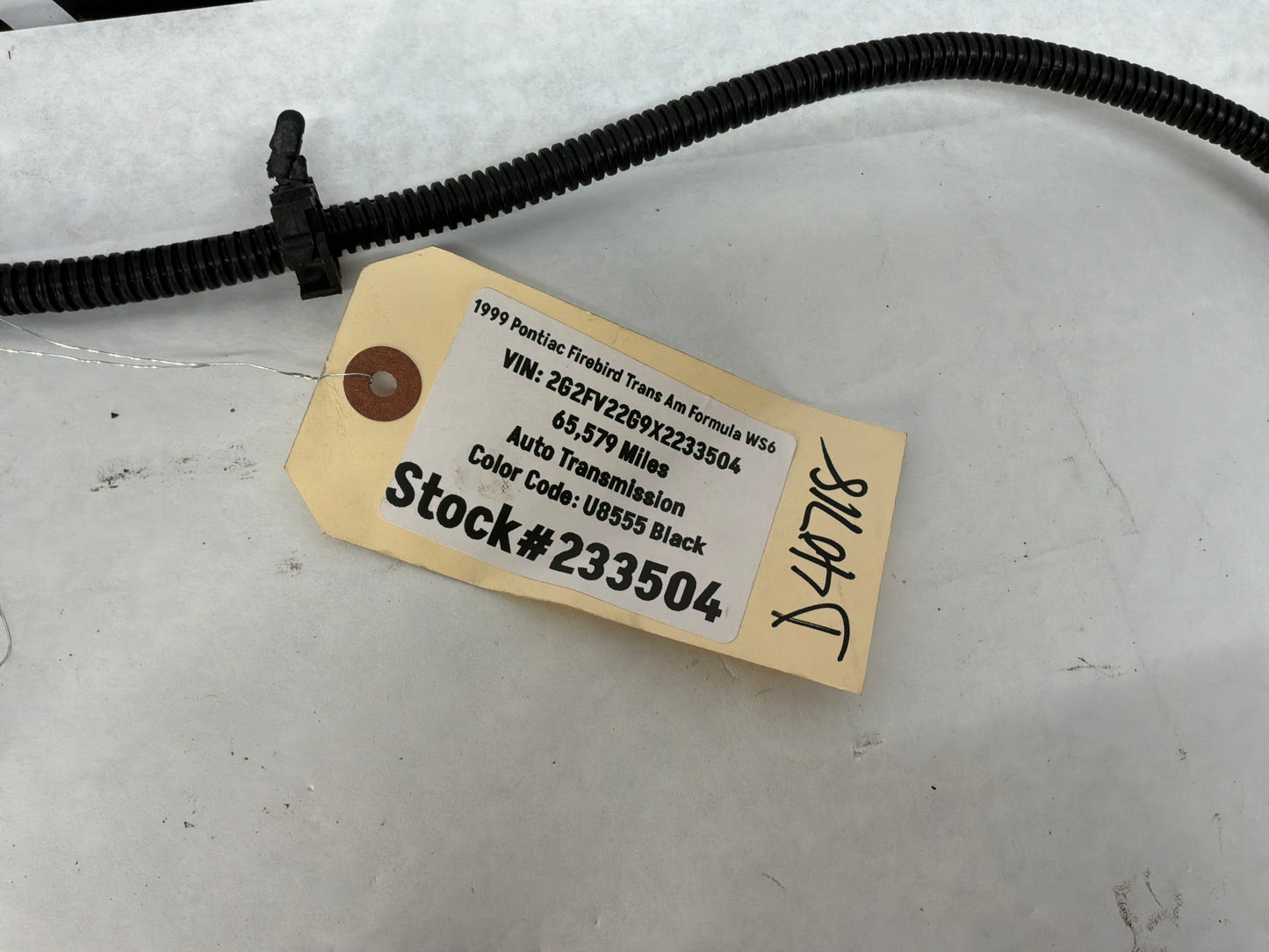 1999 Pontiac Firebird Trans Am Formula WS6 Trans Am Rear Bumper Wire Wiring Harness OEM