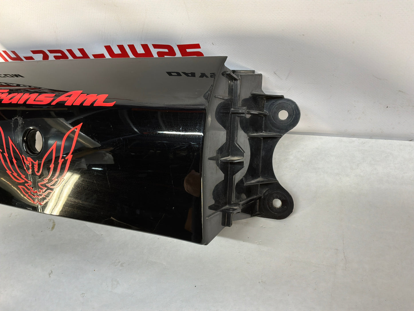 Center Tail Light Filler Panel OEM