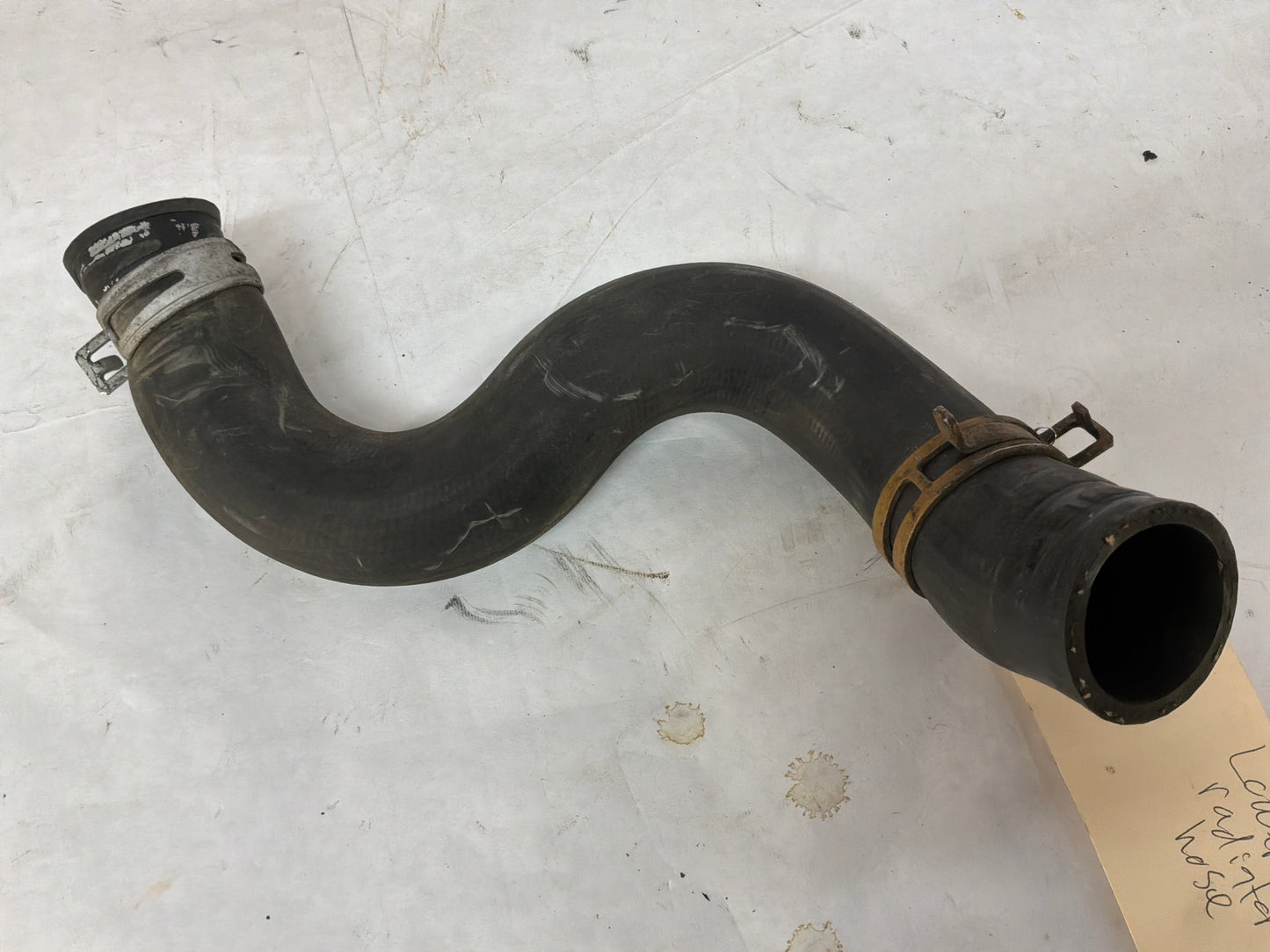 1999 Pontiac Trans Am WS6 Lower Radiator Coolant Hose OEM