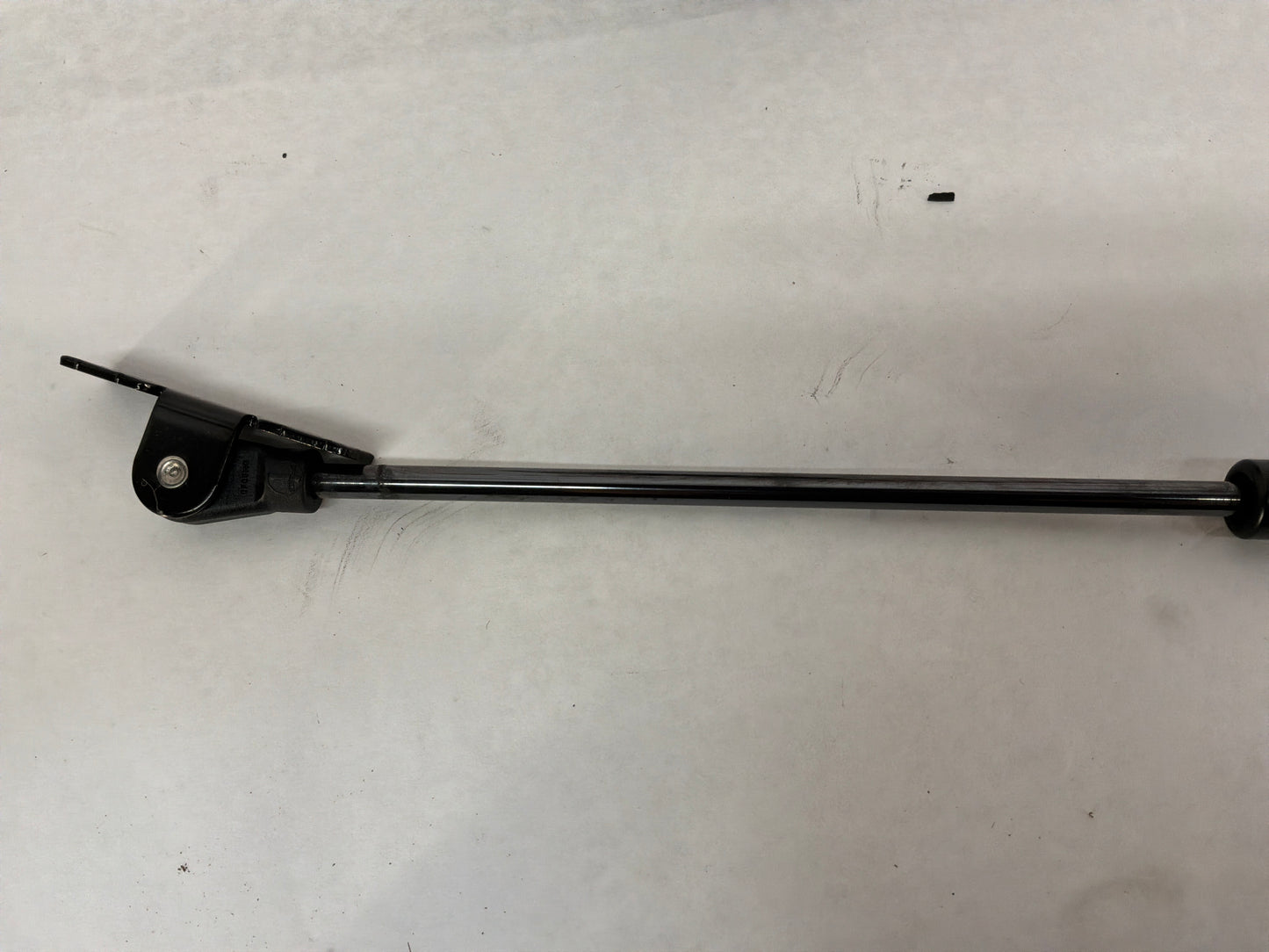 2005 Pontiac GTO Hood Gas Lift Support Struts Shocks OEM