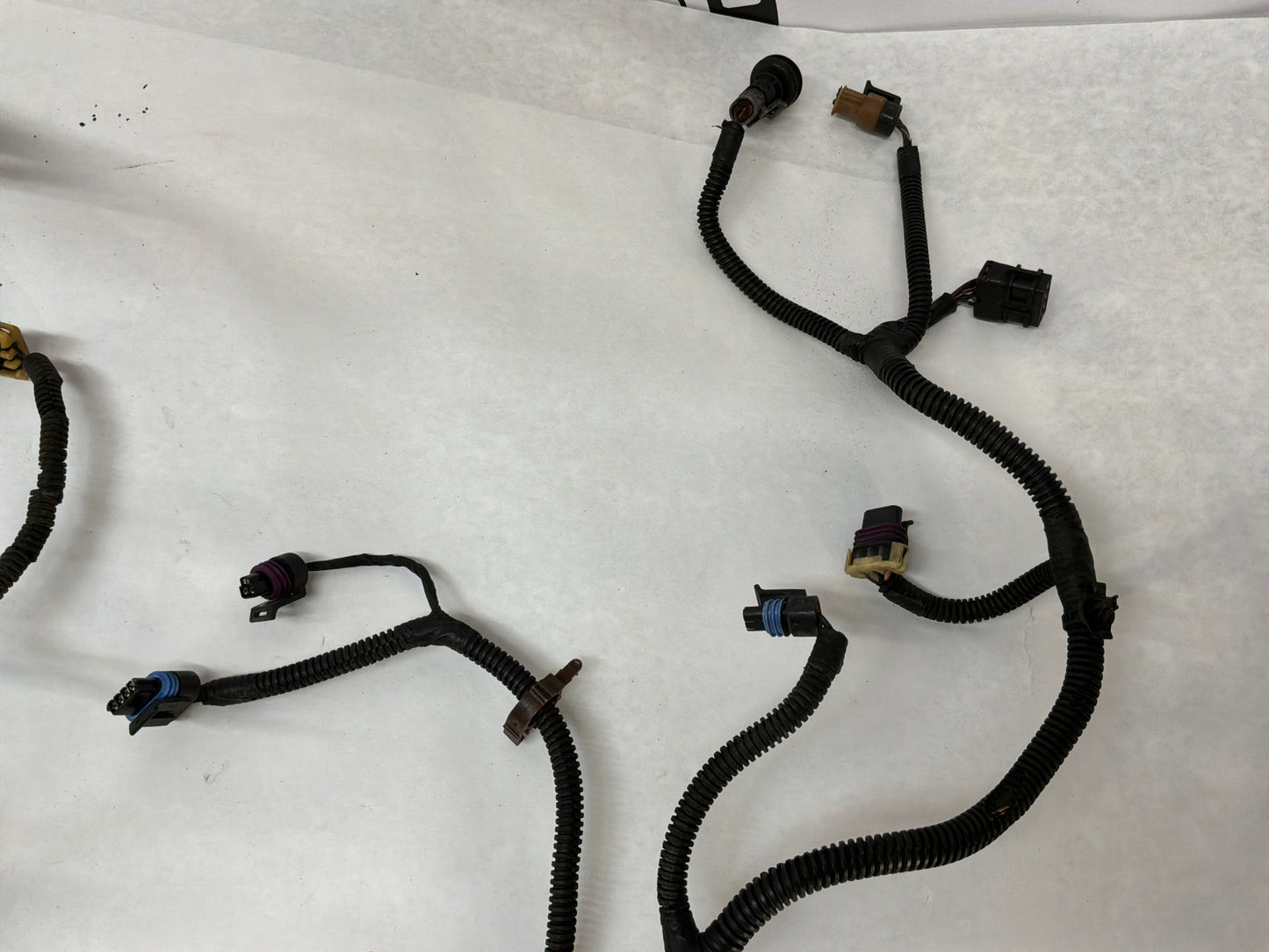 2004 Pontiac GTO Engine Motor Manual Transmission Wire Wiring Harness OEM
